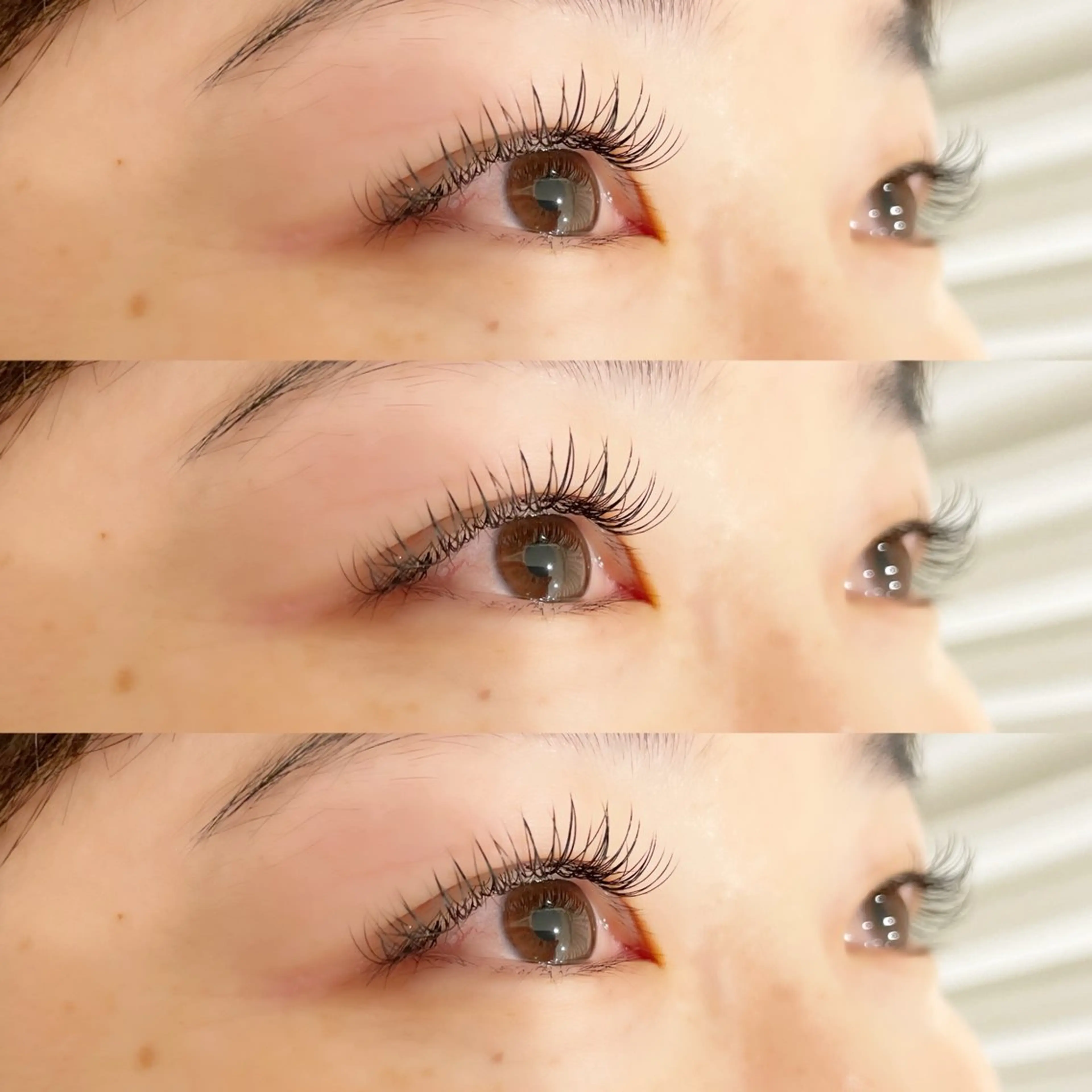 ダブルフラットラッシュ80束(160本の仕上がりです)🤍オフ代別途¥500の写真