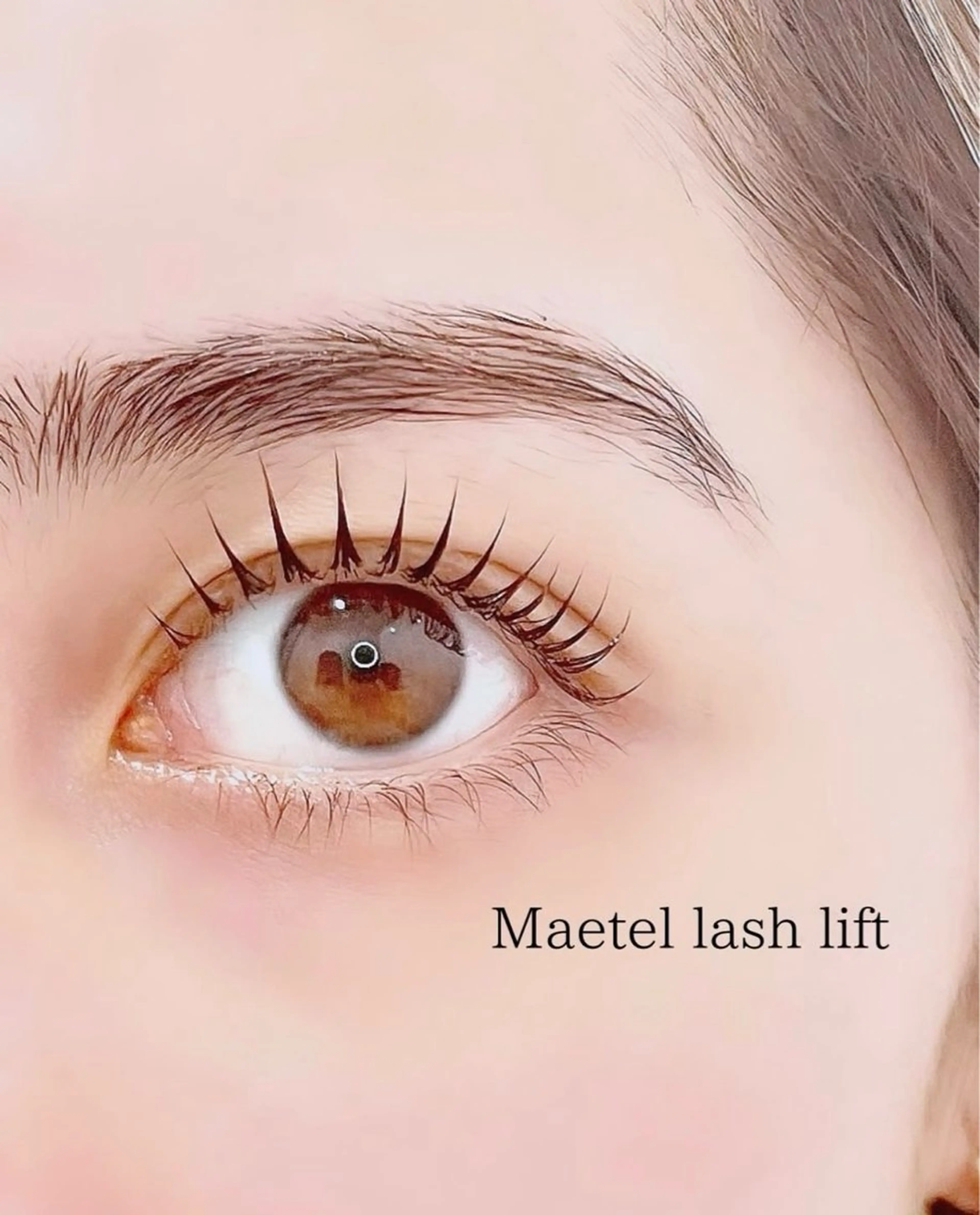 🍒メーテルラッシュリフト＋美容液コーティング🍒の写真