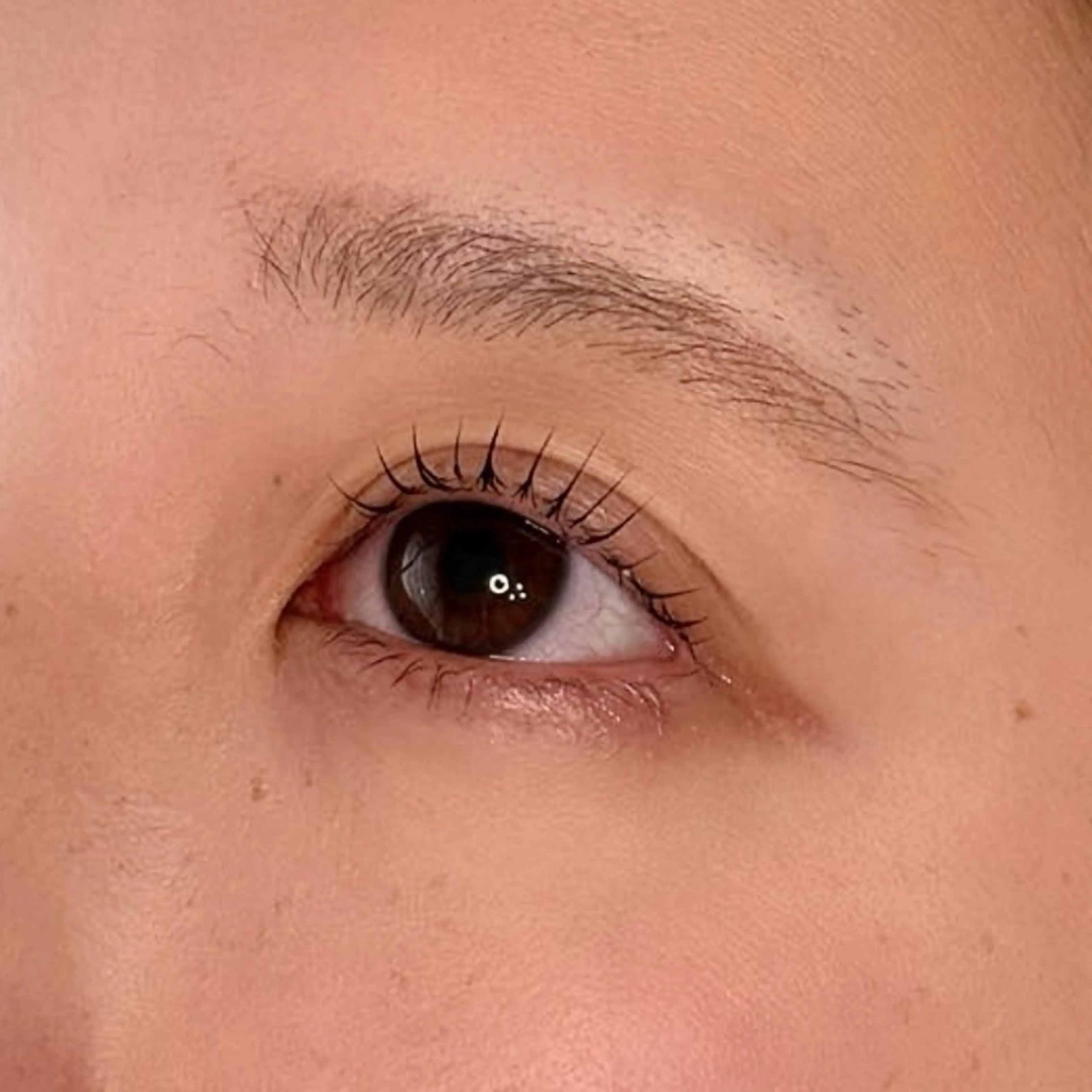 マツエク・マツパ パリジェンヌラッシュリフト マツパ エンズ知立店所属・菅野 葵衣の眉毛・アイブロウイメージ