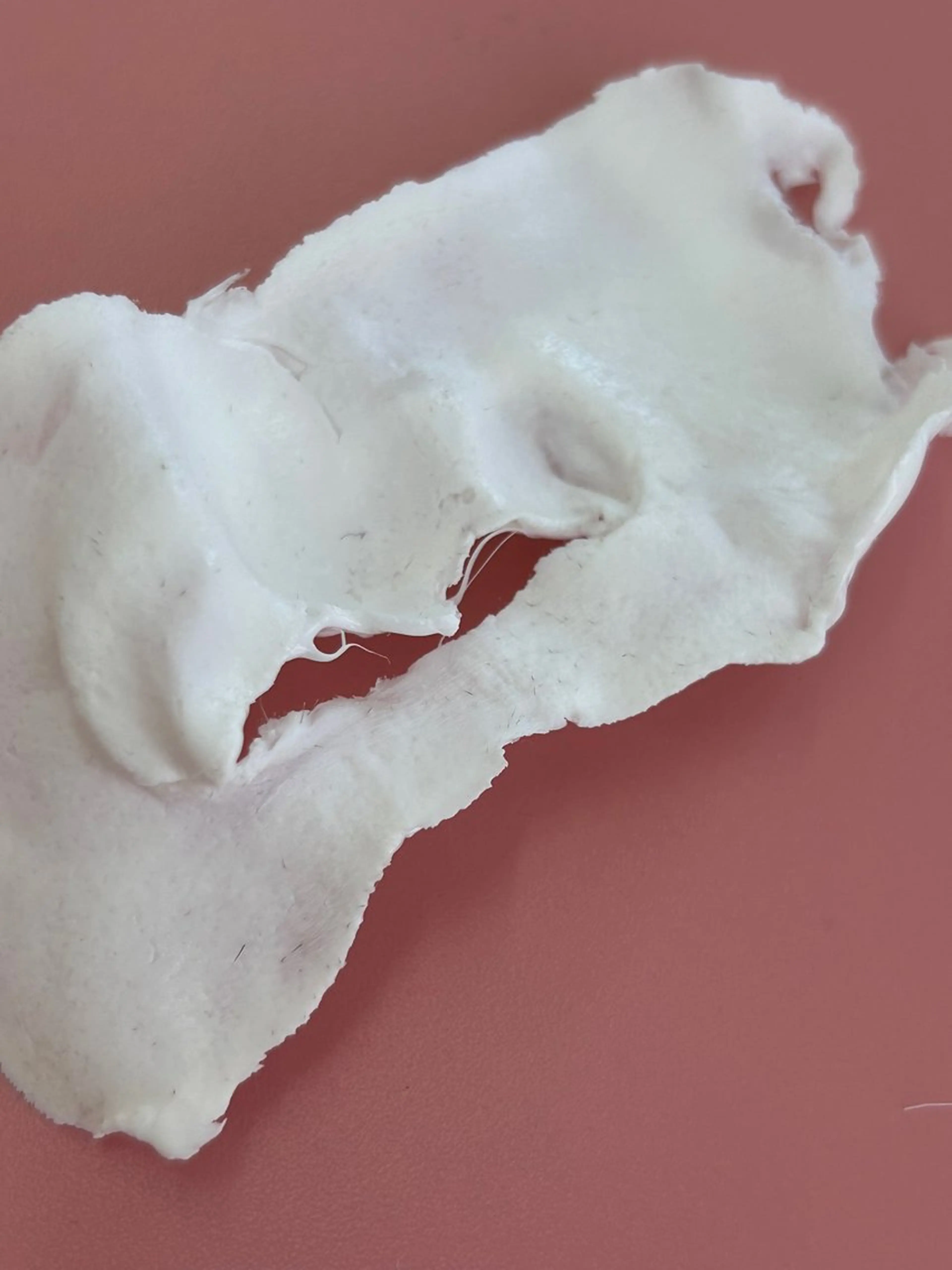 美肌育成専門サロンラクシュミー所属・毛穴肌管理サロン ラクシュミーのエステ・リラクイメージ