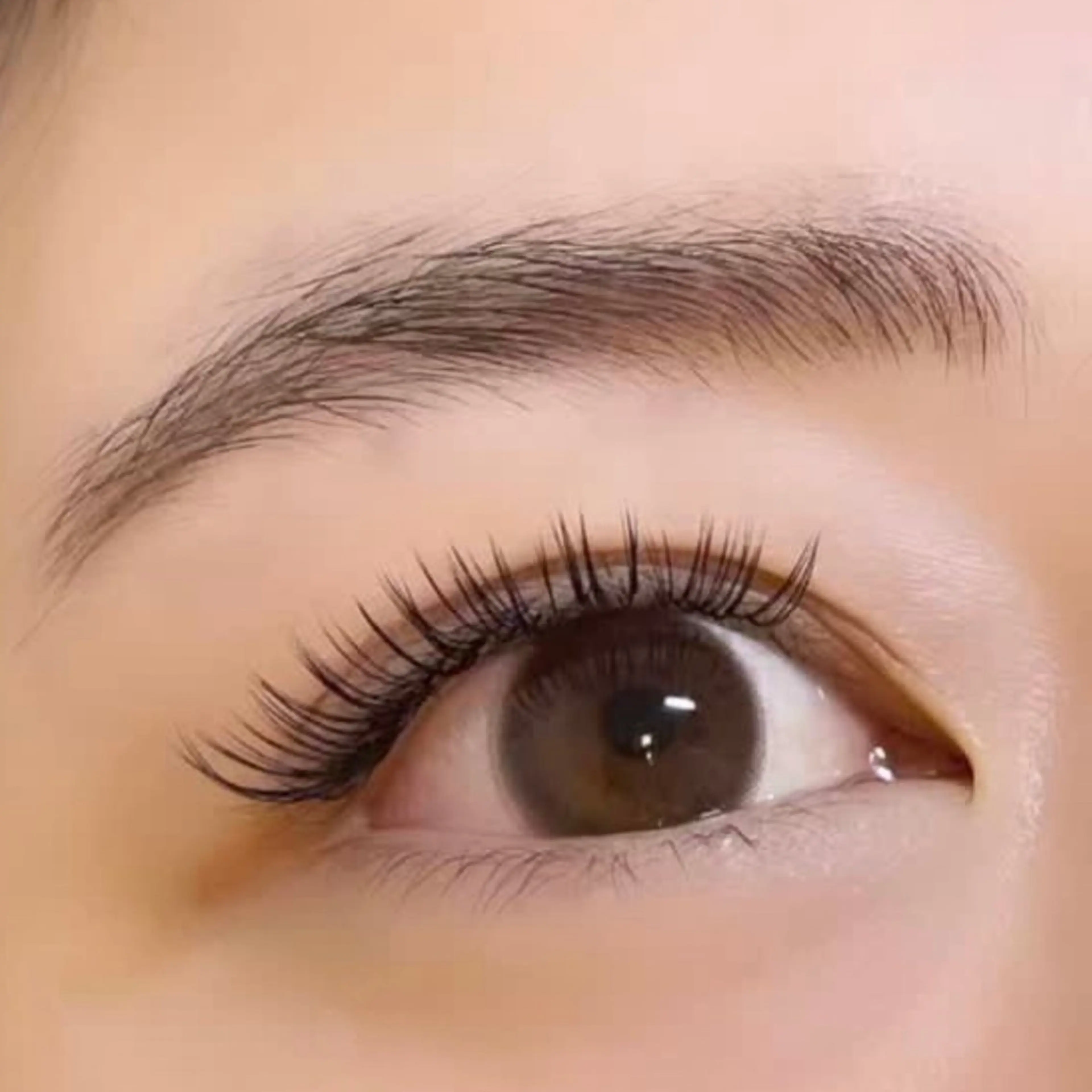 【10月28日(火)限定‼️バインドロック80束🫧】高持続を求めるなら絶対コレ‼️の写真