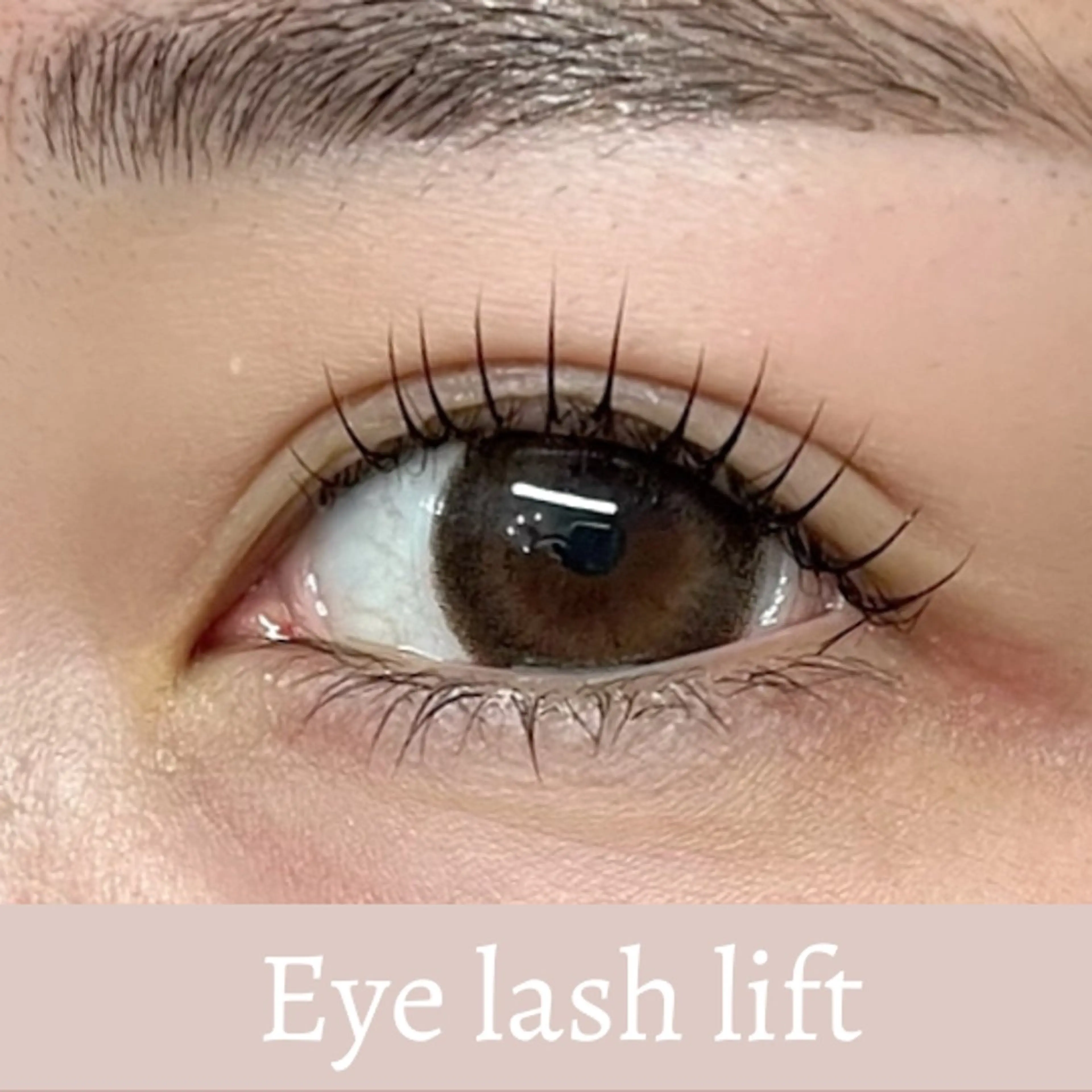 マツエク・マツパ MONDO AYUの眉毛・アイブロウイメージ