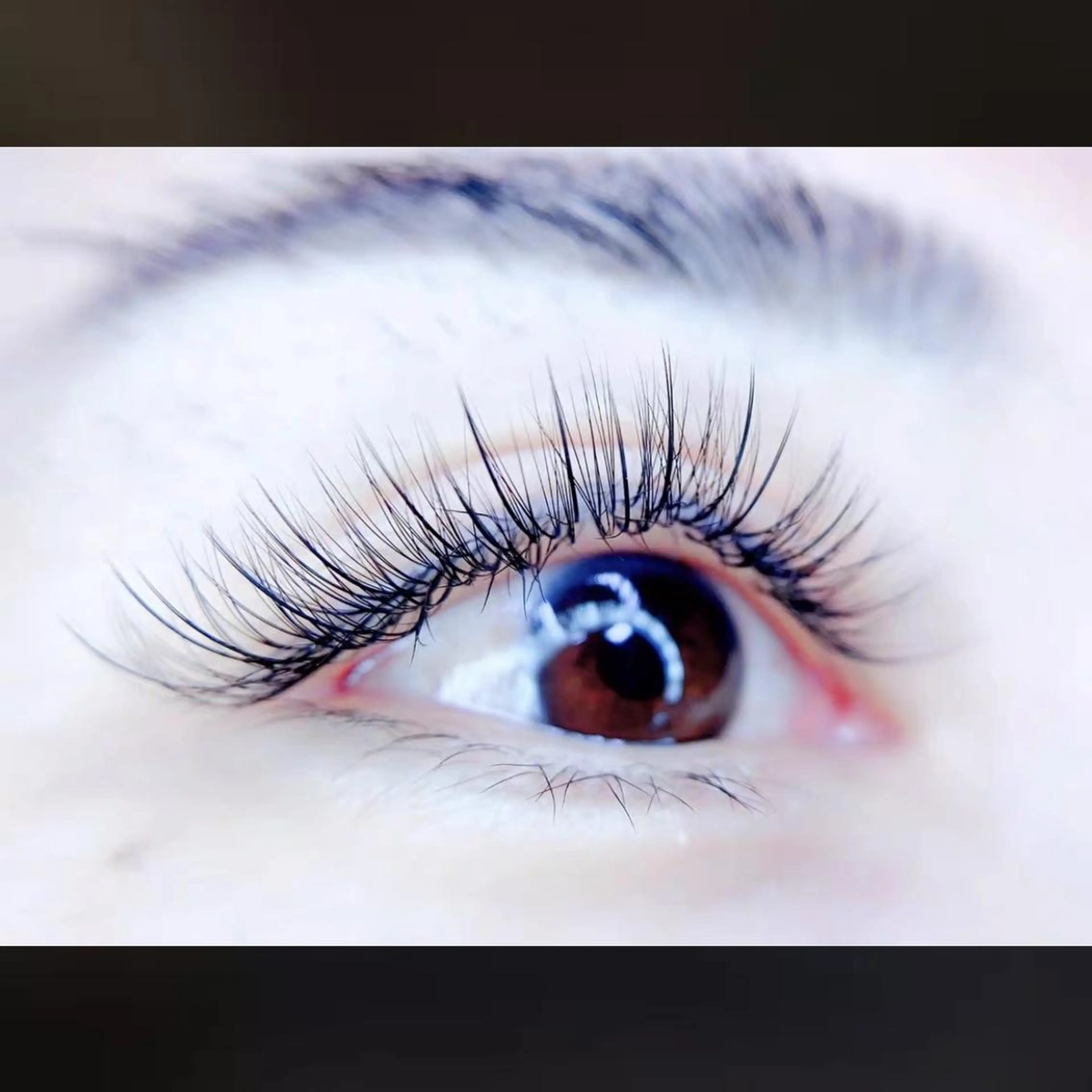 ❤️海外最新話題サンフラワーラッシュ80束　オフ+500円の写真