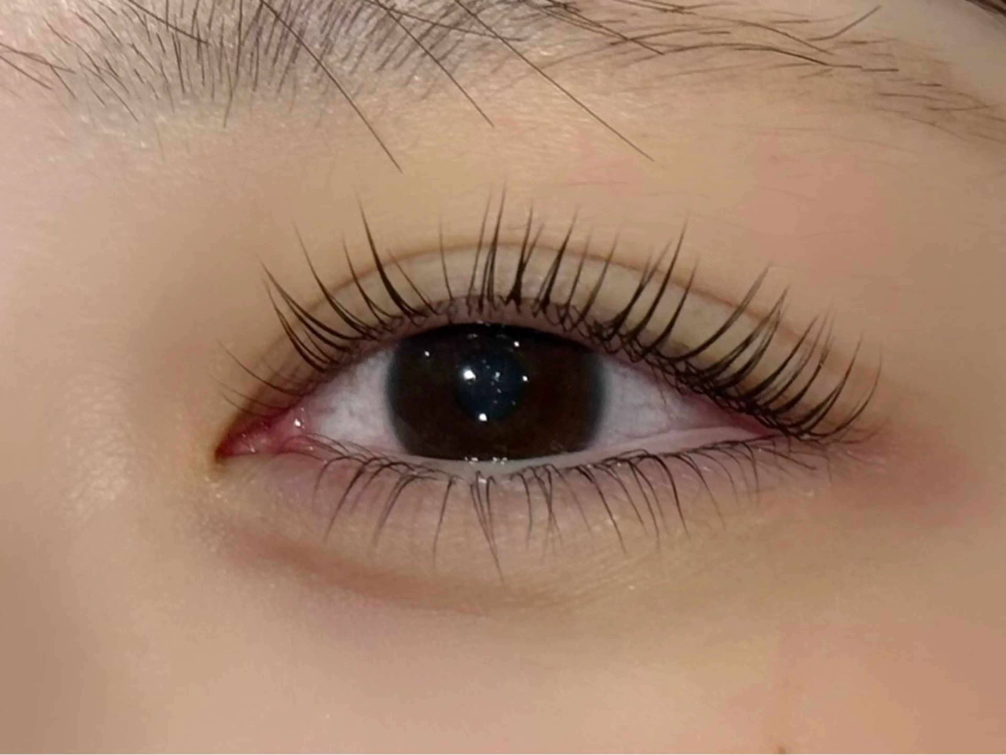 マツエク・マツパ パリジェンヌラッシュリフト Lash&Blow PORTE269 あべの店所属・PORTE269_ 中村のマツエク・マツパデザイン