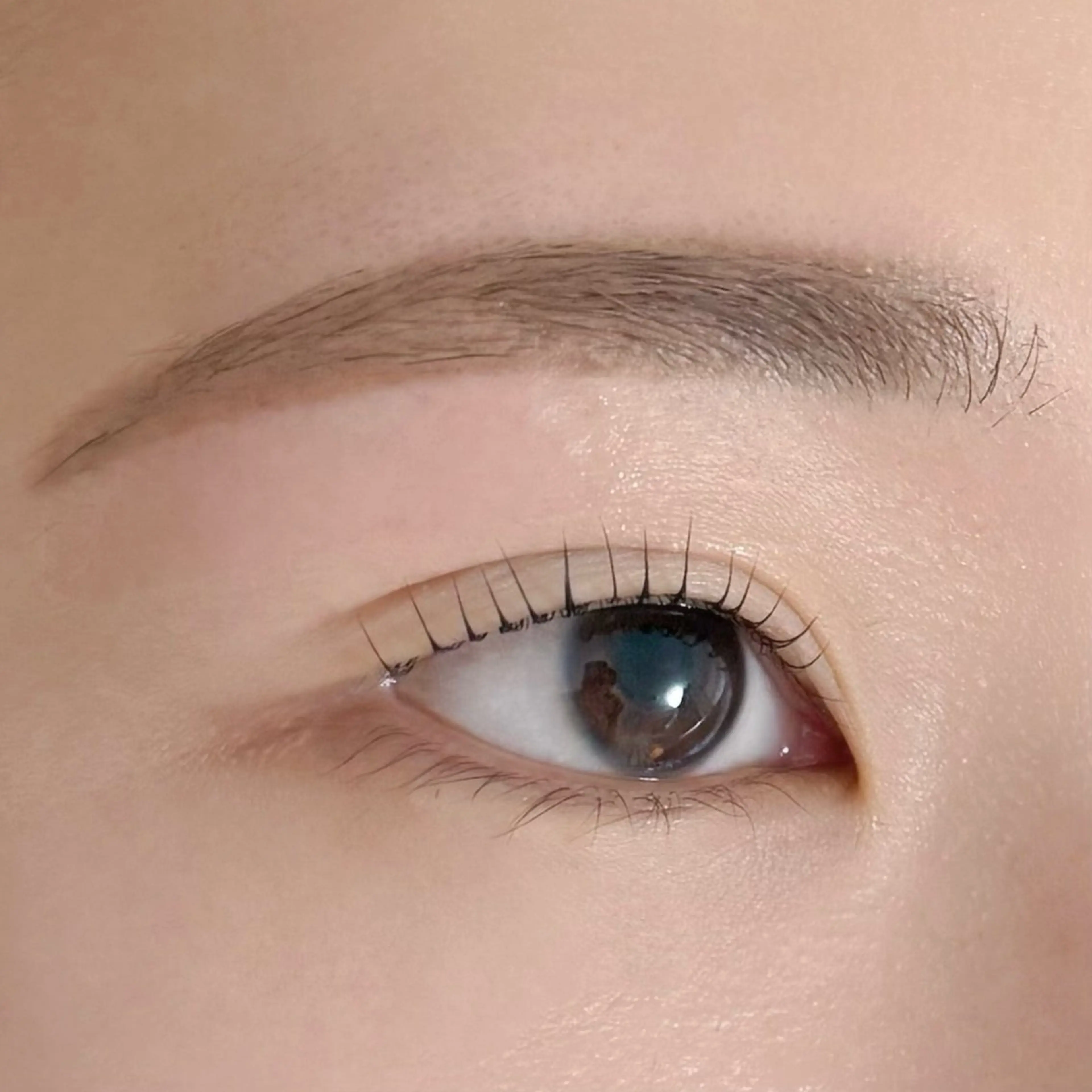 🌿アイブロウワックス🌿＋🫧ラッシュリフト＋美容コーティング🫧￥7500の写真