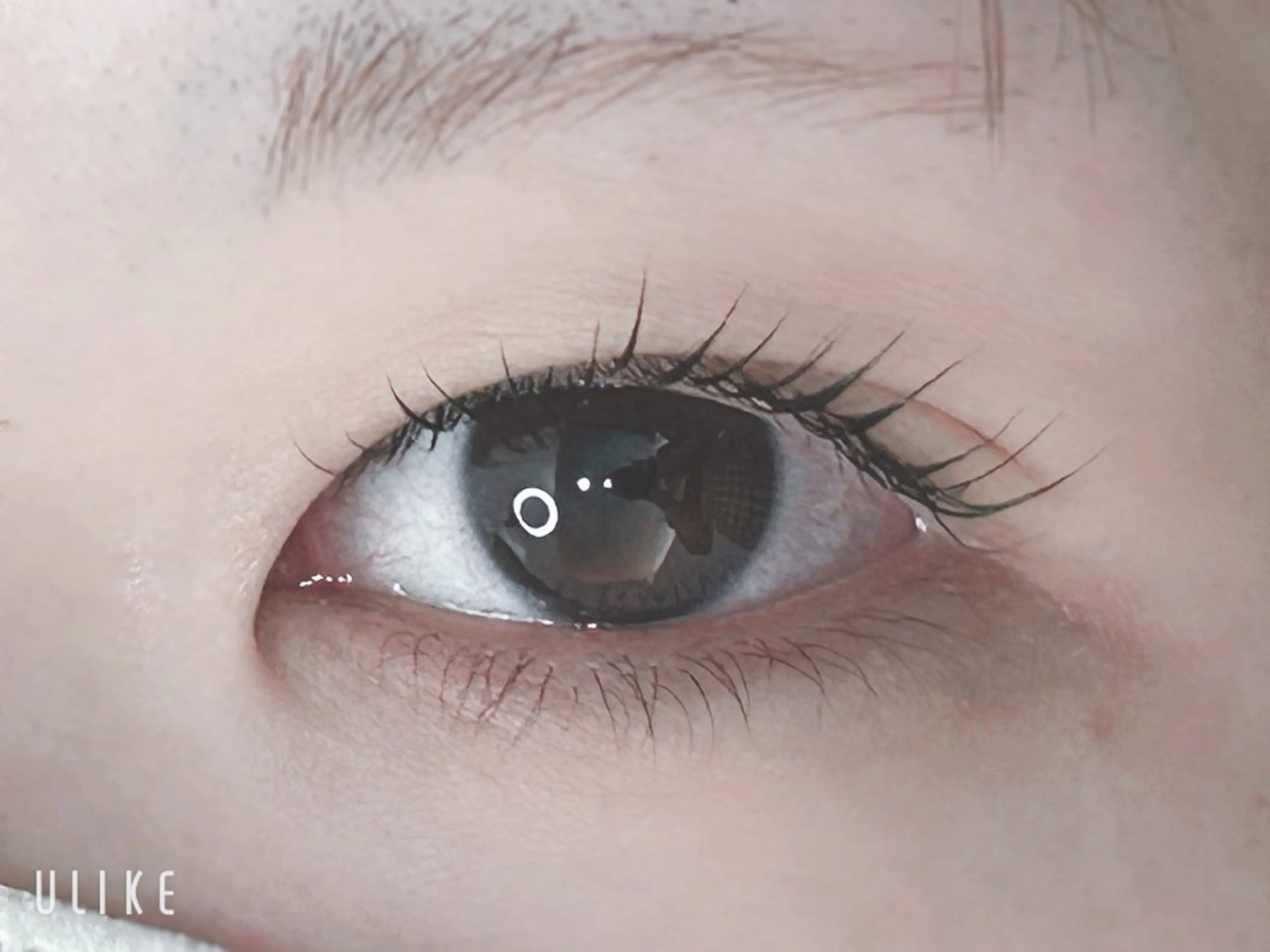 マツエク・マツパ パリジェンヌラッシュリフト Ami/束感エクステ /韓国風マツパのマツエク・マツパデザイン