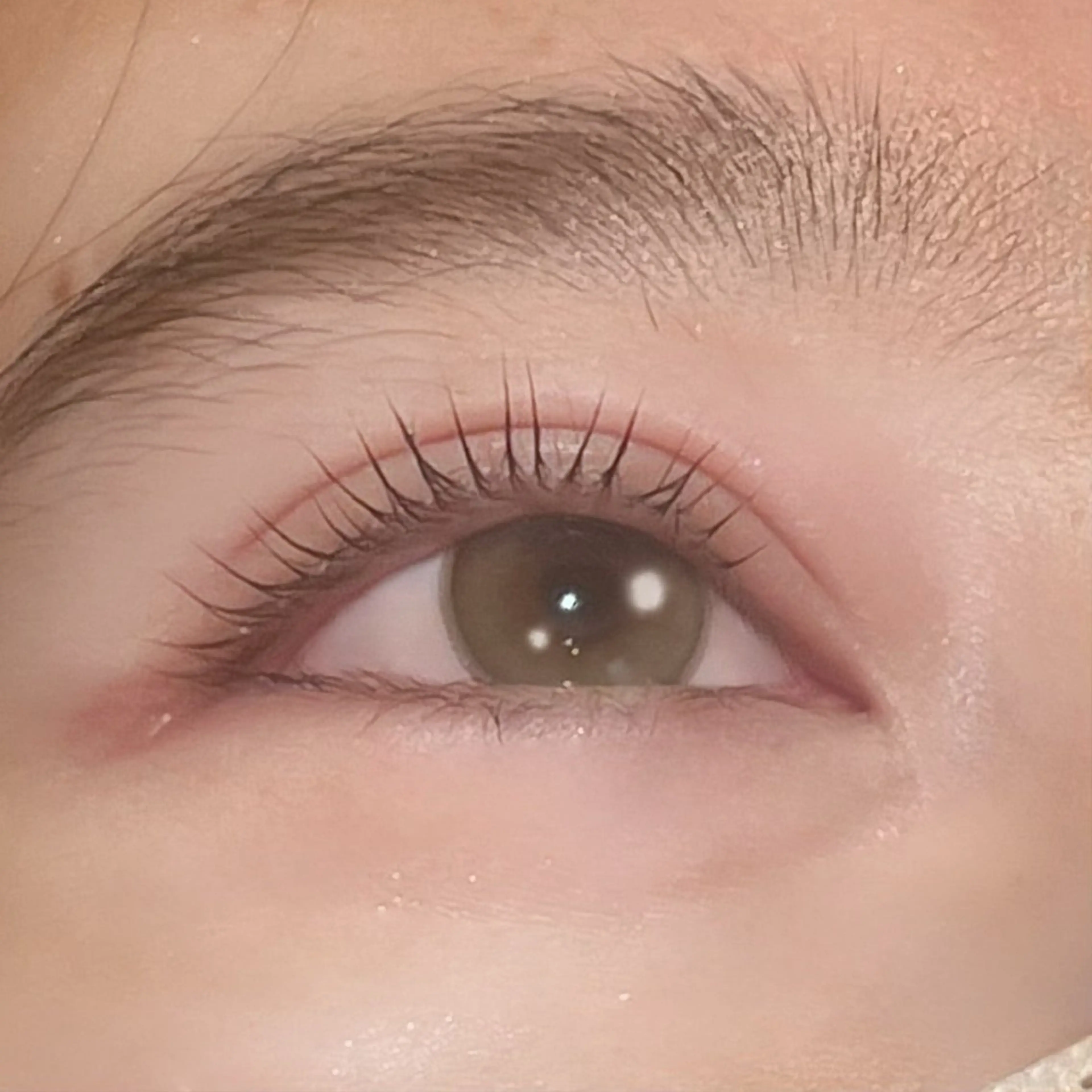 【ミニモ学割U24💫】まつ毛パーマ＋アイブロウワックスの写真