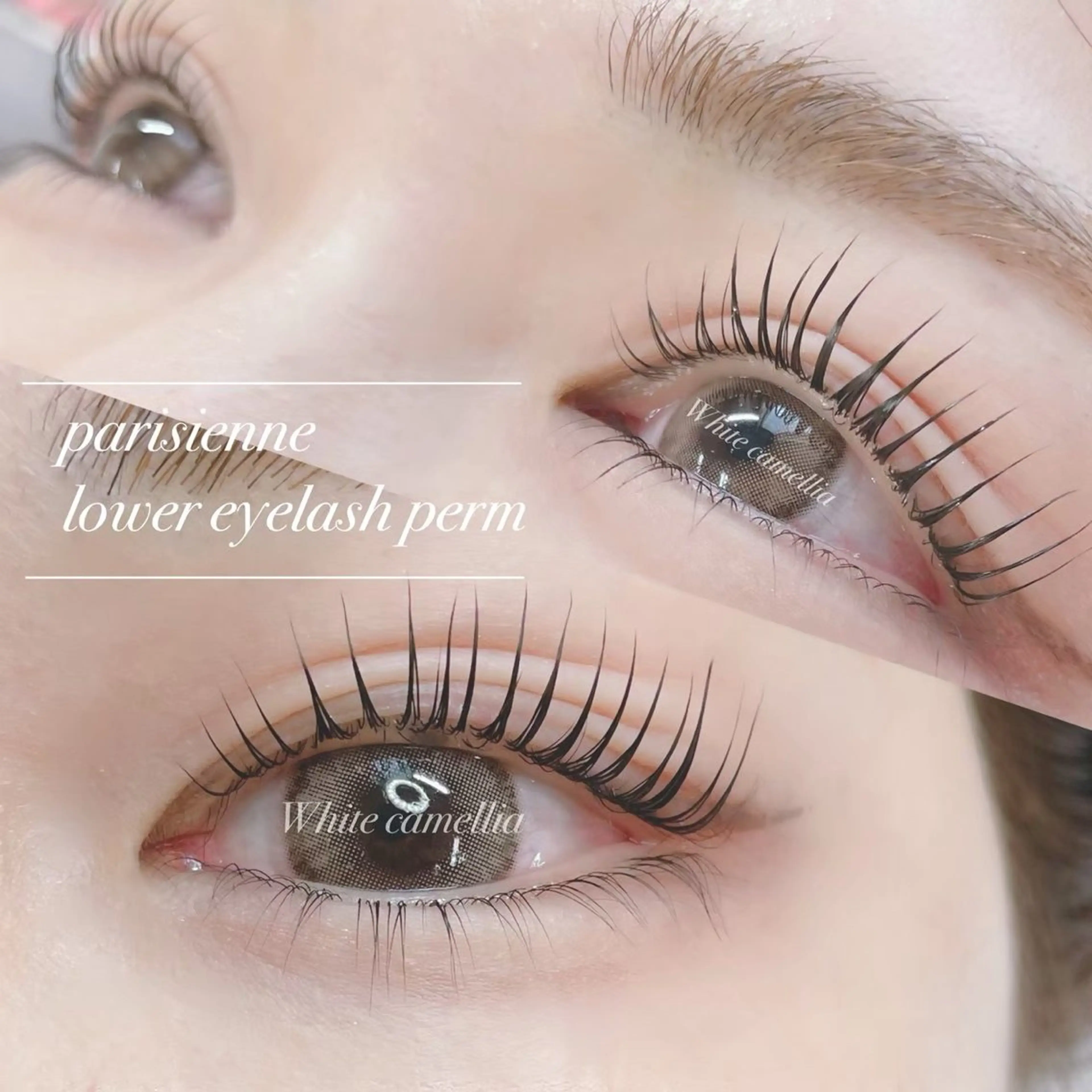 マツエク・マツパ パリジェンヌラッシュリフト Nanami 🎀のマツエク・マツパデザイン