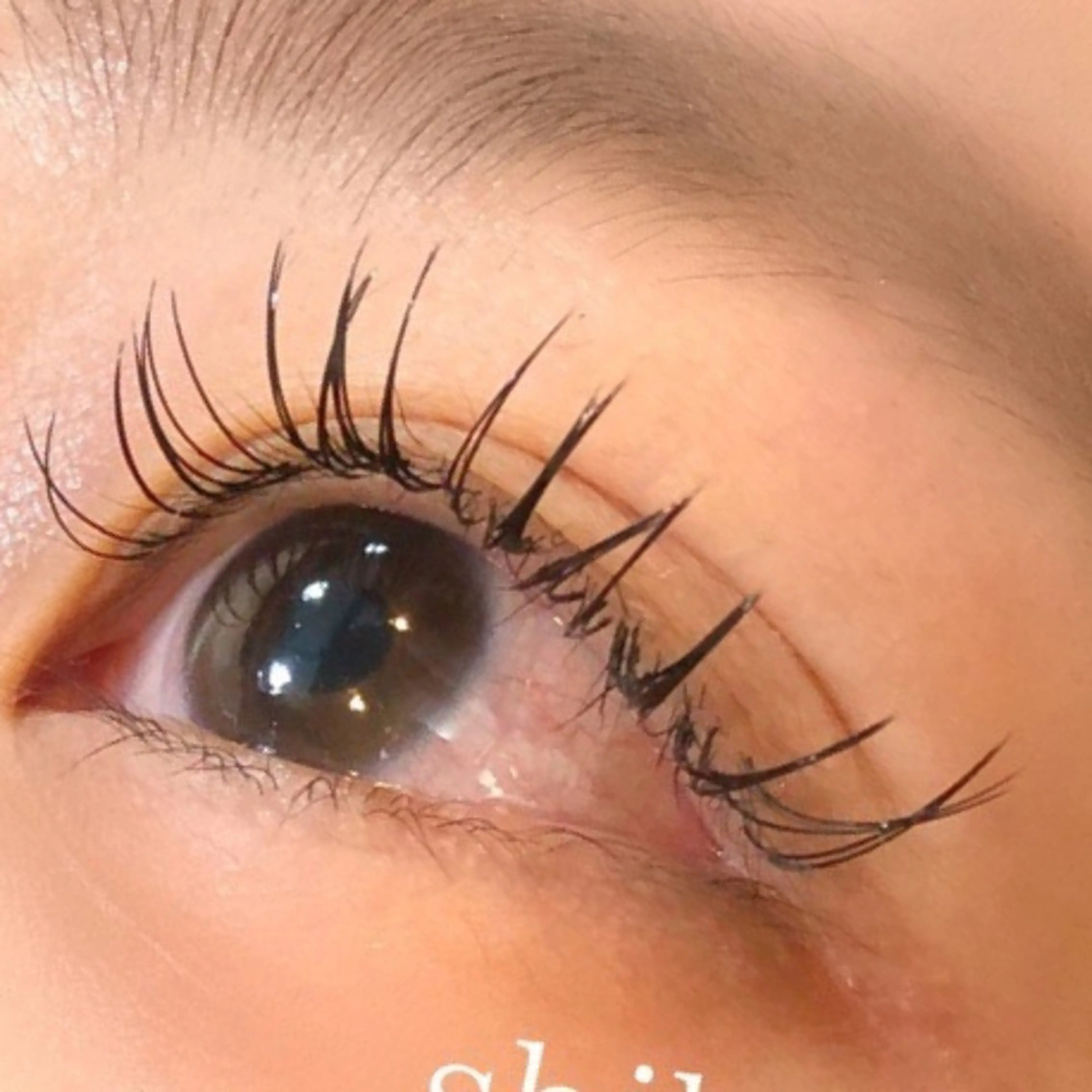 マツエク・マツパ マツエク 束感まつぱ🥑🤍 NATUKI🤍のマツエク・マツパデザイン