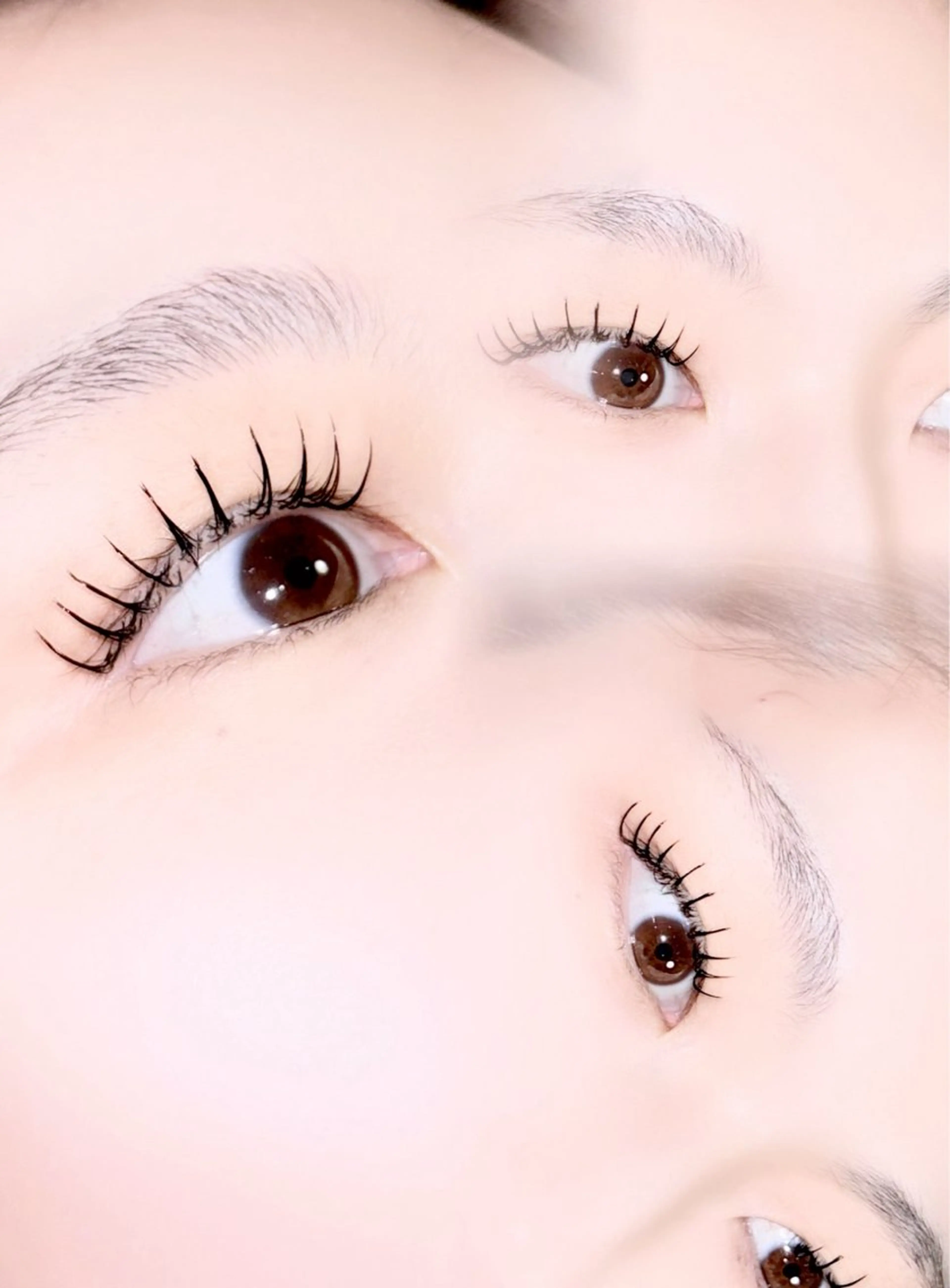 マツエク・マツパ Lucia 森田のマツエク・マツパデザイン