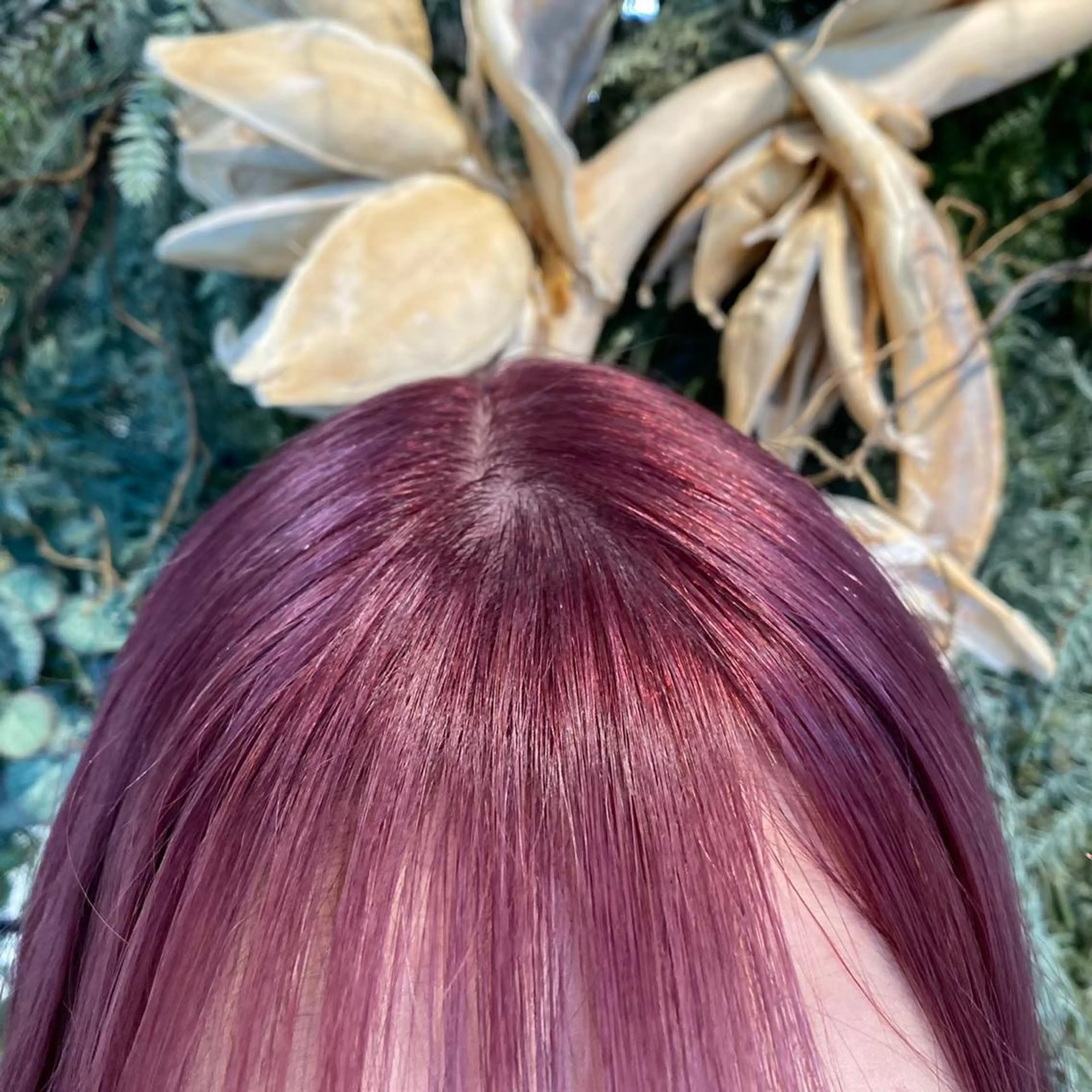 ミディアム カラー 韓国マツエク/まつパ 🎀misaki🎀のマツエク・マツパデザイン