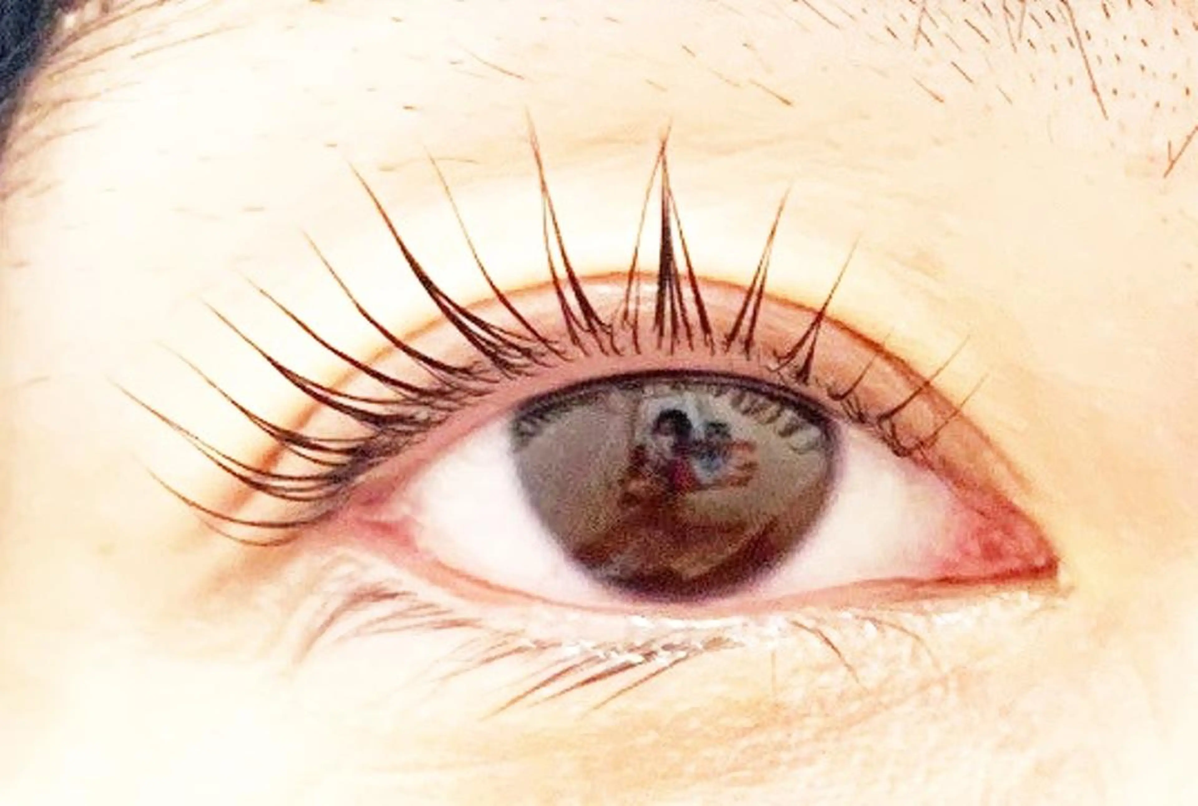 ラッシュリフト☆アイシャンプー仕上げの写真