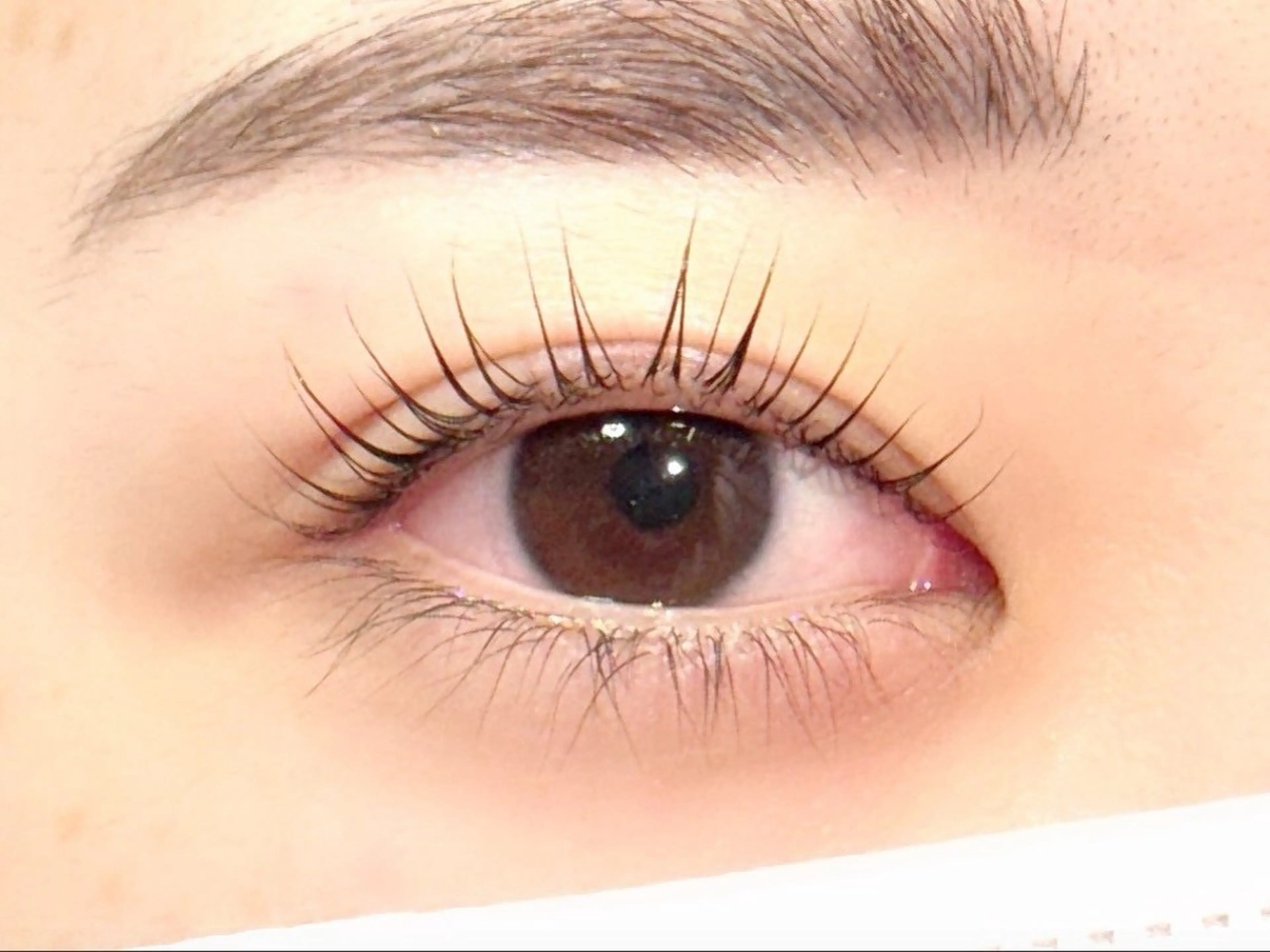 平日限定✨パリジェンヌラッシュリフトの写真