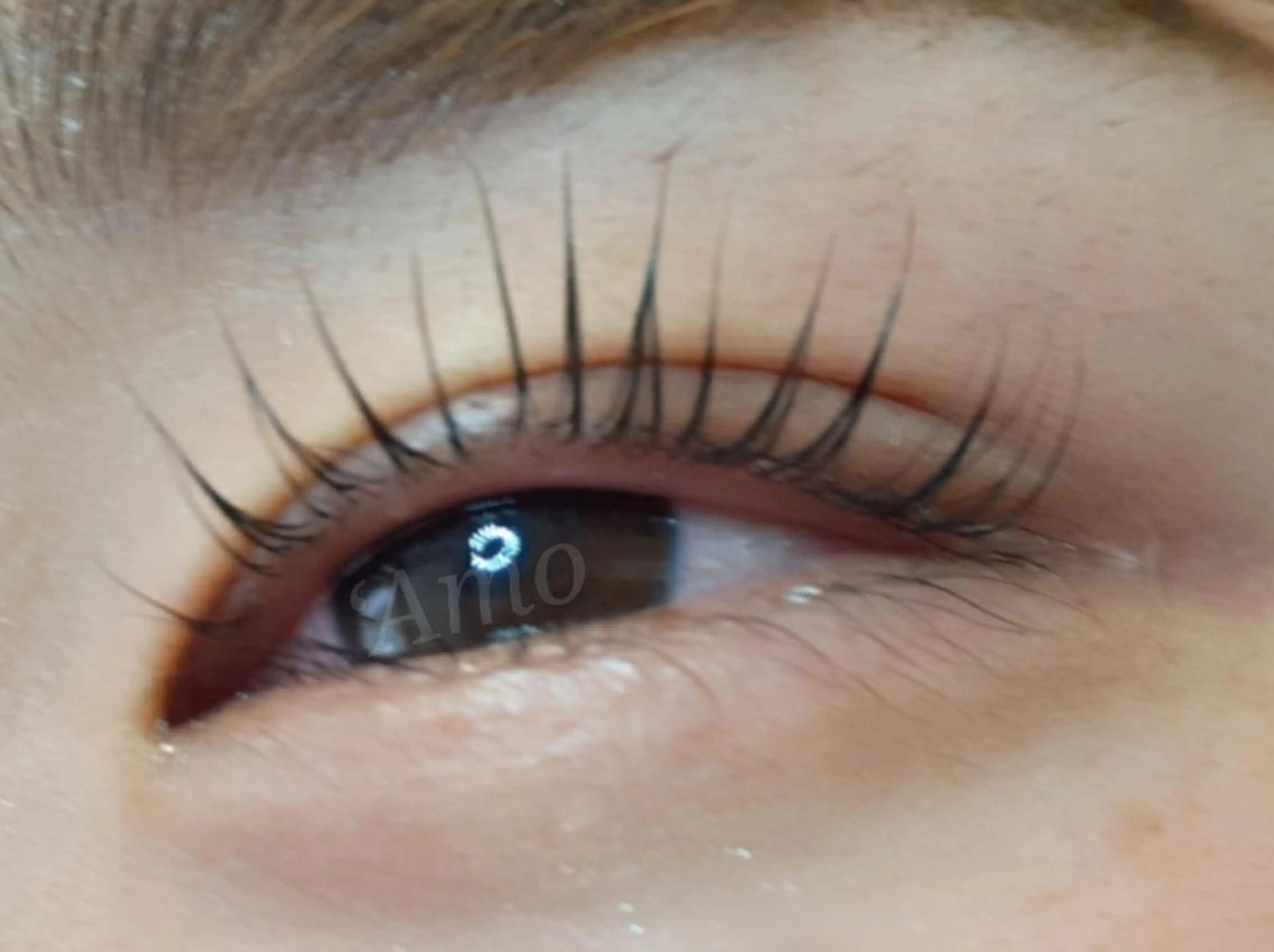 マツエク・マツパ ‘Amo アモのマツエク・マツパデザイン