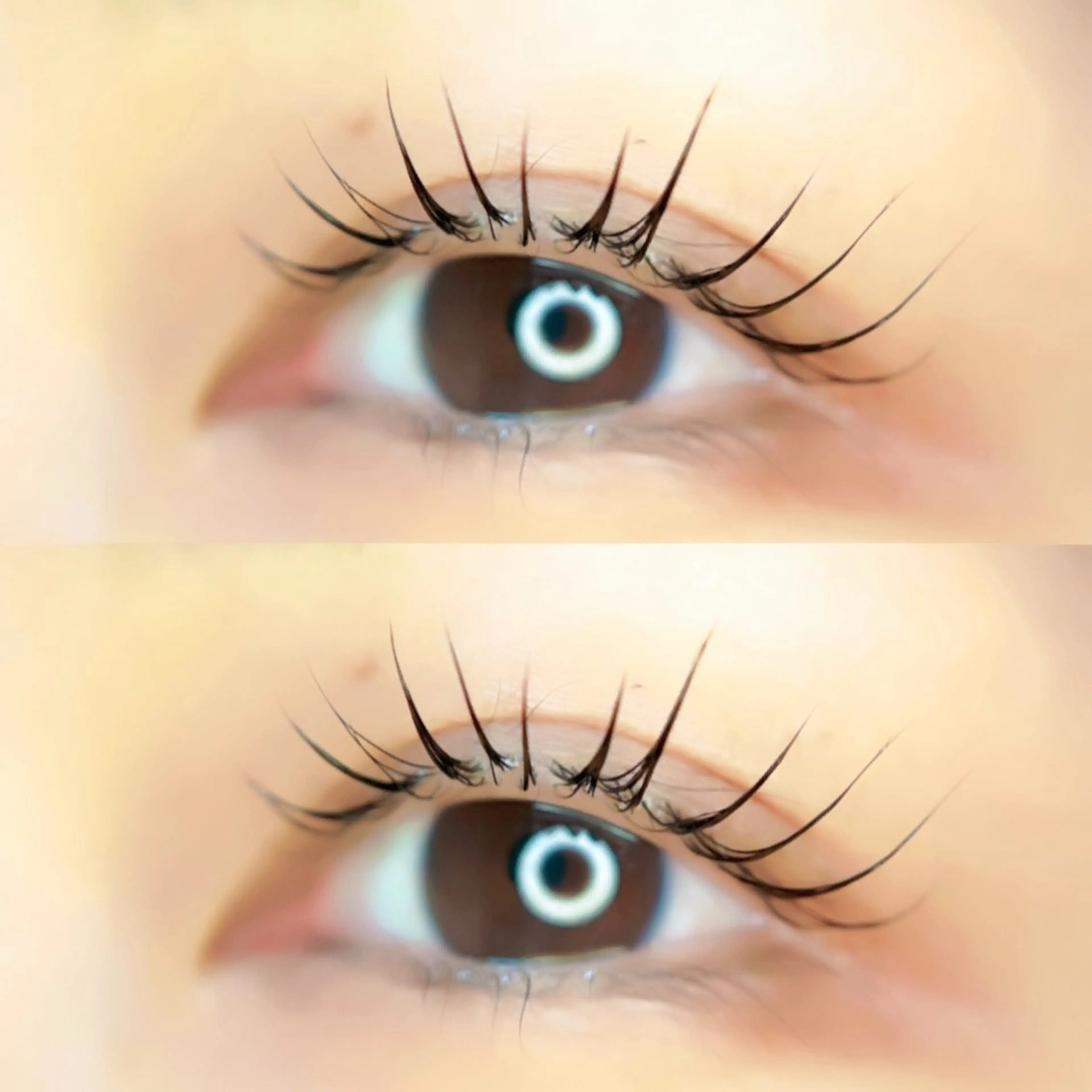 マツエク・マツパ Favóche eyelashのマツエク・マツパデザイン