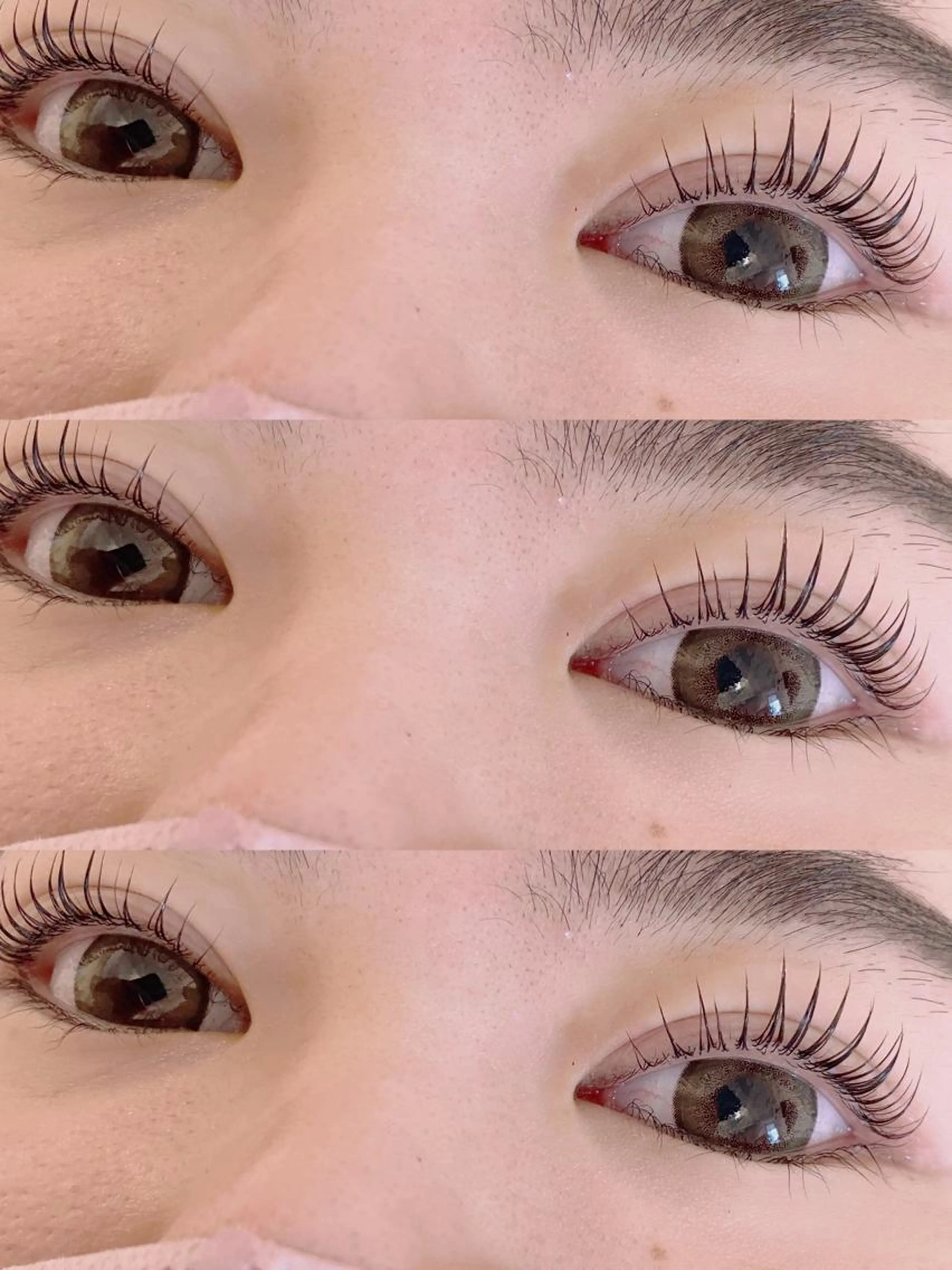 パリジェンヌラッシュリフト👼コーティング付き🫧(5週間以内¥5,300)の写真