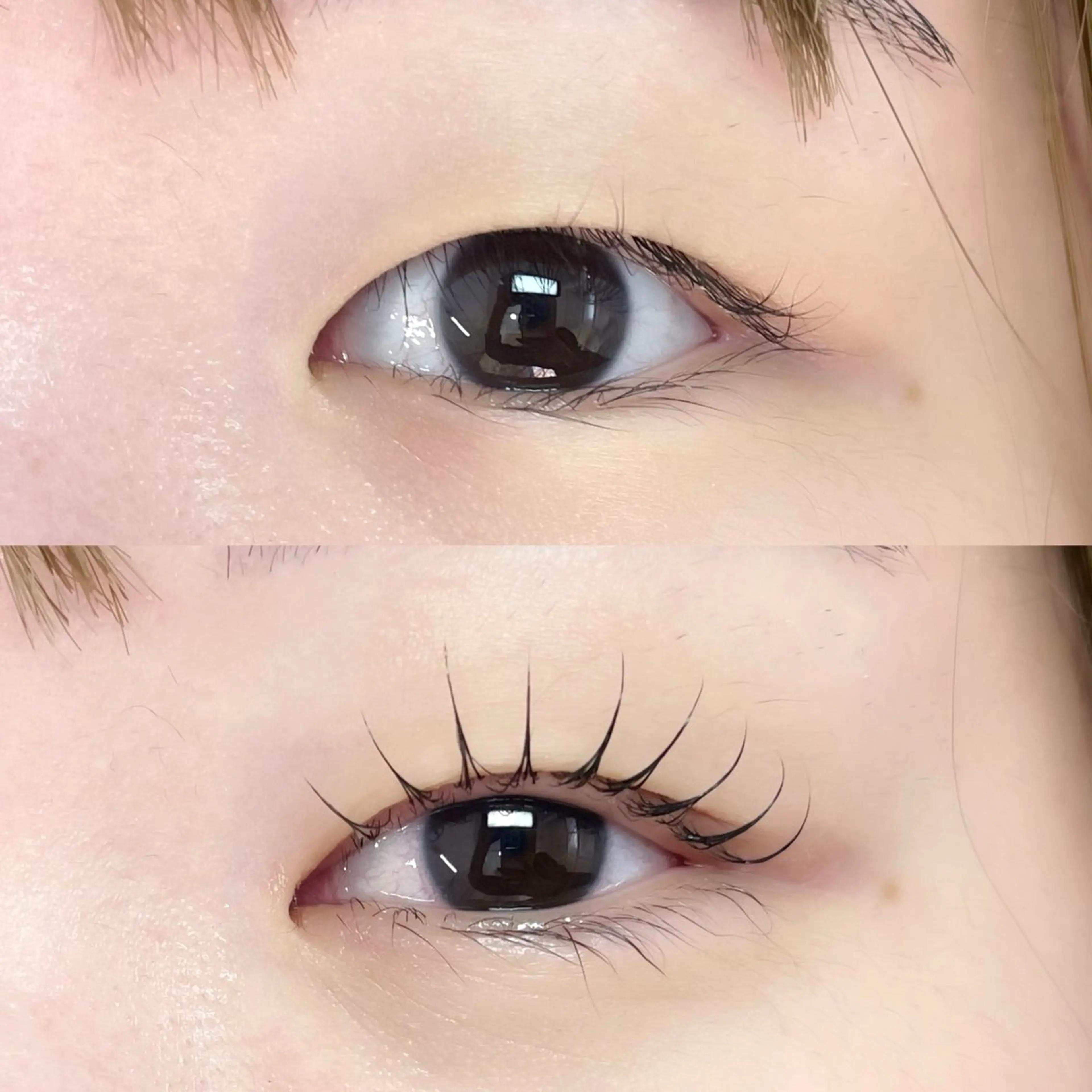 マツエク・マツパ まつげパーマ マツパ 大森 オオモリのマツエク・マツパデザイン