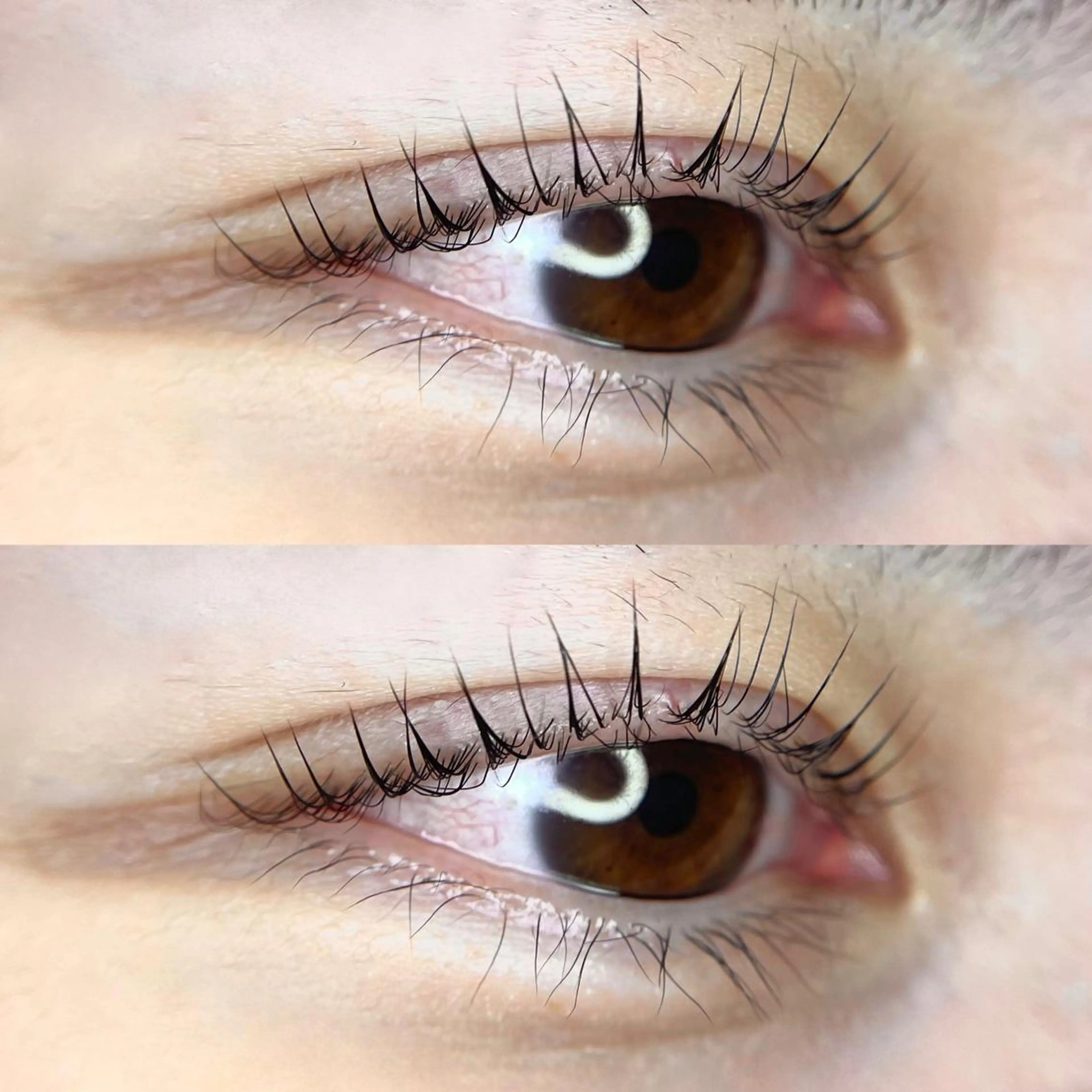 マツエク・マツパ マツパ コハク アイラッシュのマツエク・マツパデザイン