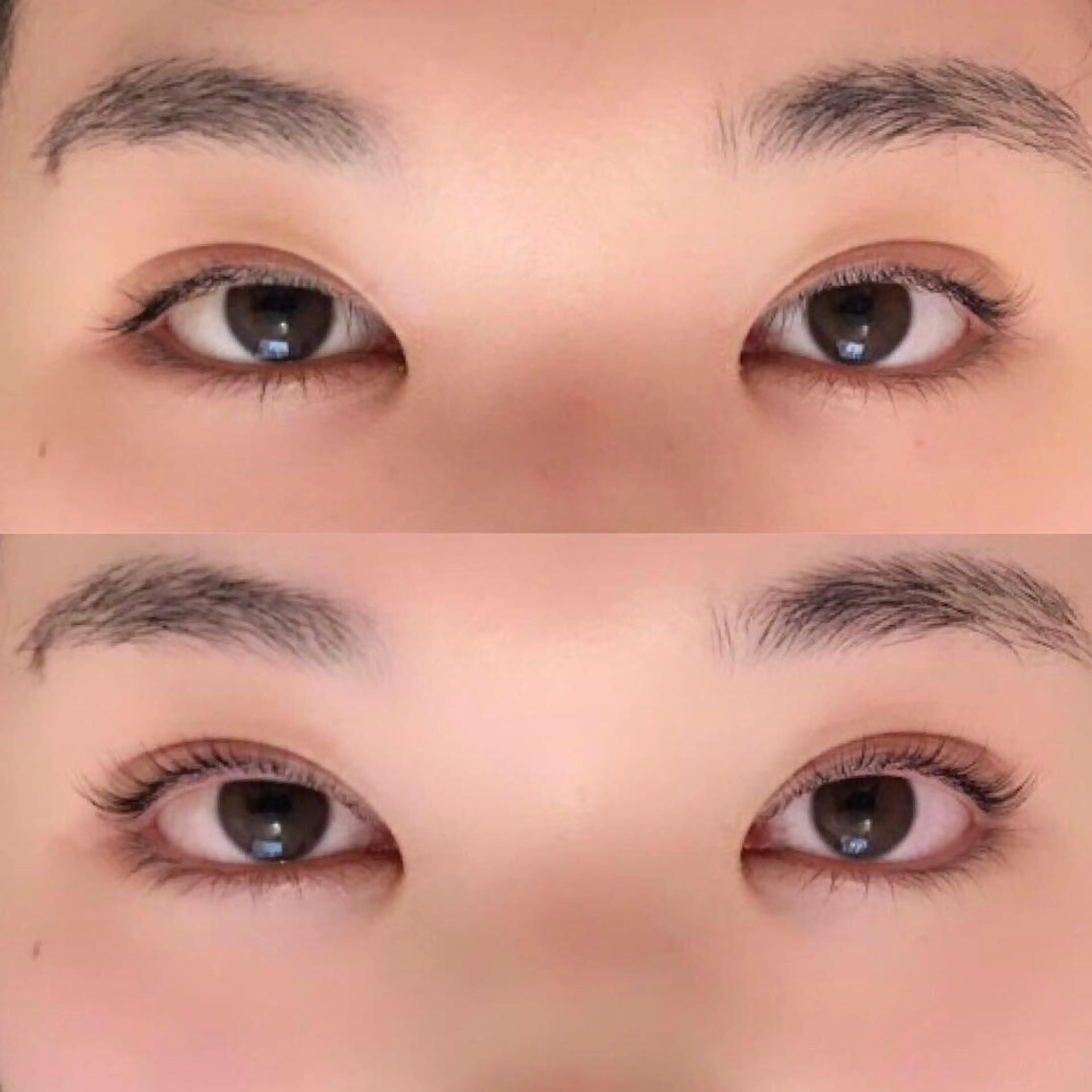 マツエク・マツパ まつげ、毛穴 TREEのエステ・リラクイメージ