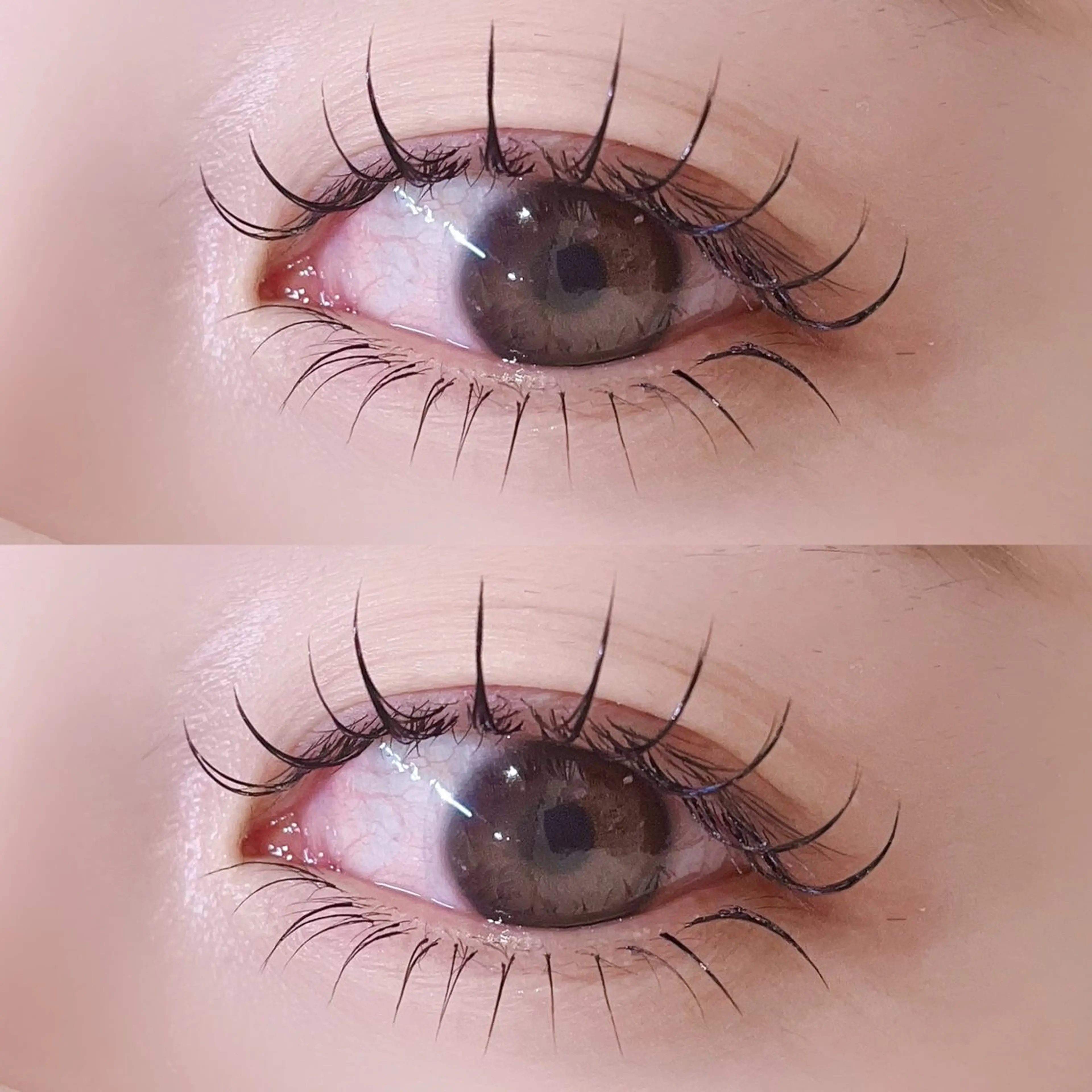 マツエク・マツパ 束感まつ毛 キュート フラットラッシュ ナチュラル 下まつげエクステ マツエク hibiki 🤍sofa立川のマツエク・マツパデザイン