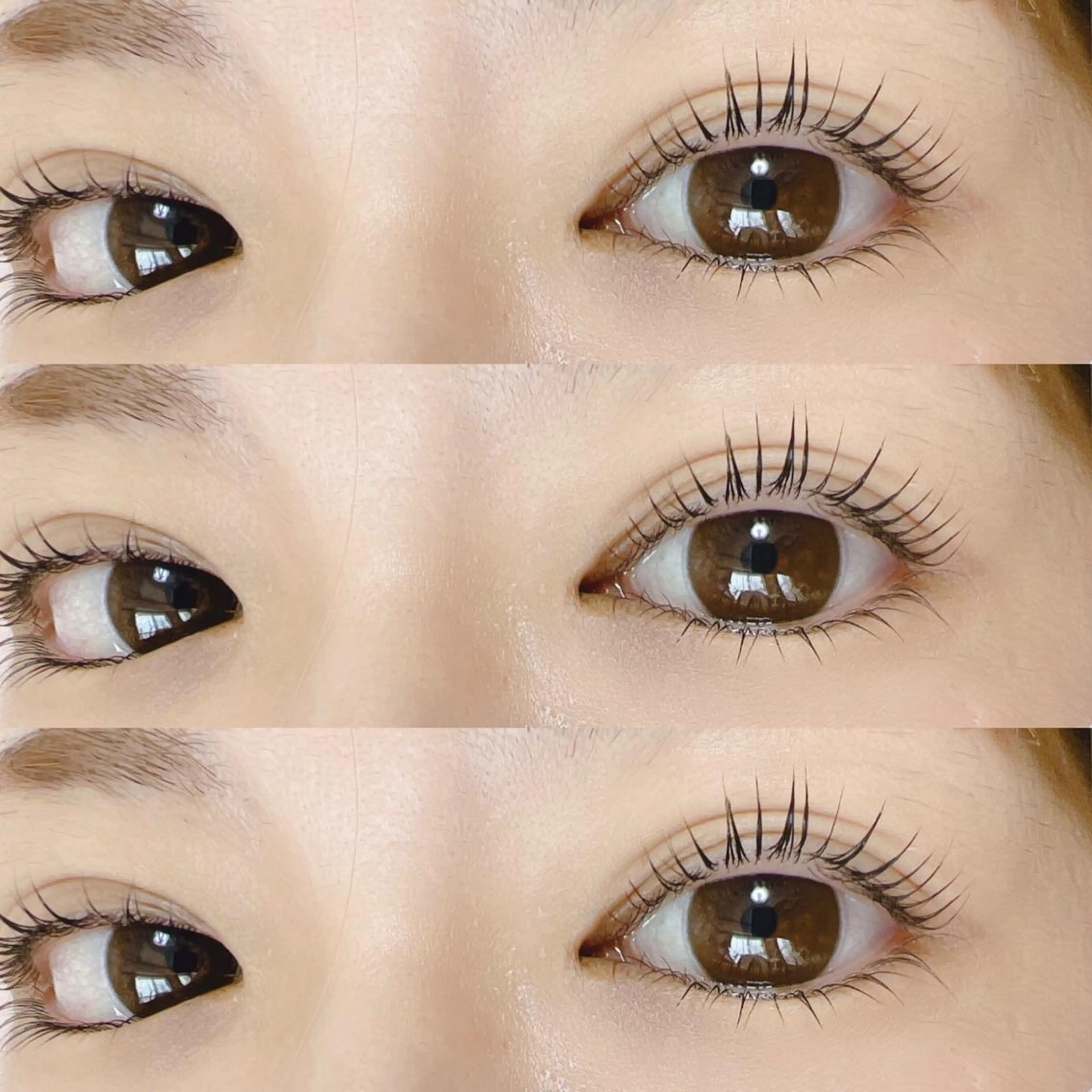 マツエク・マツパ マツパ 【那覇/束感まつ毛】 ｷｬﾒﾙのマツエク・マツパデザイン