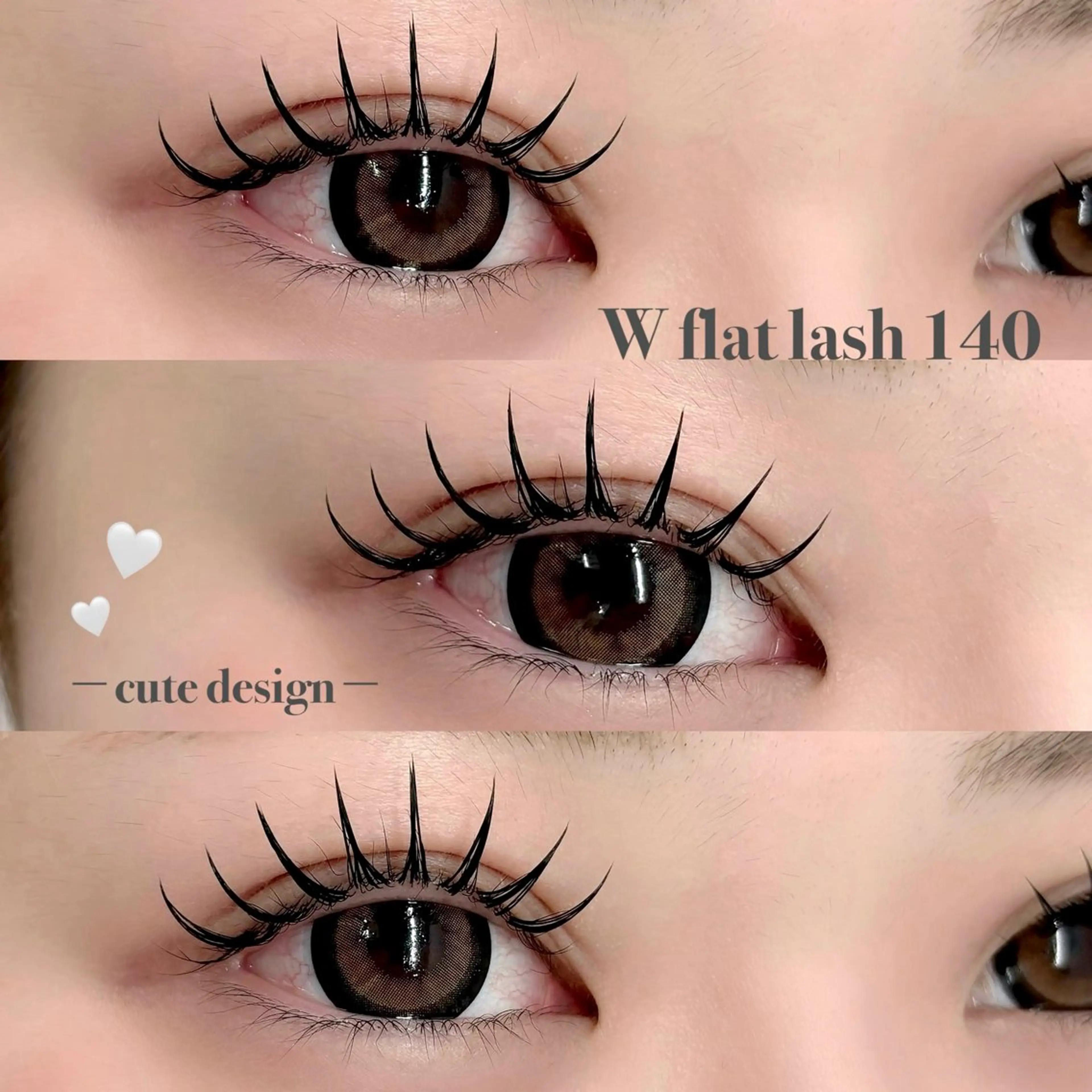 パリエク〈120本〉の写真