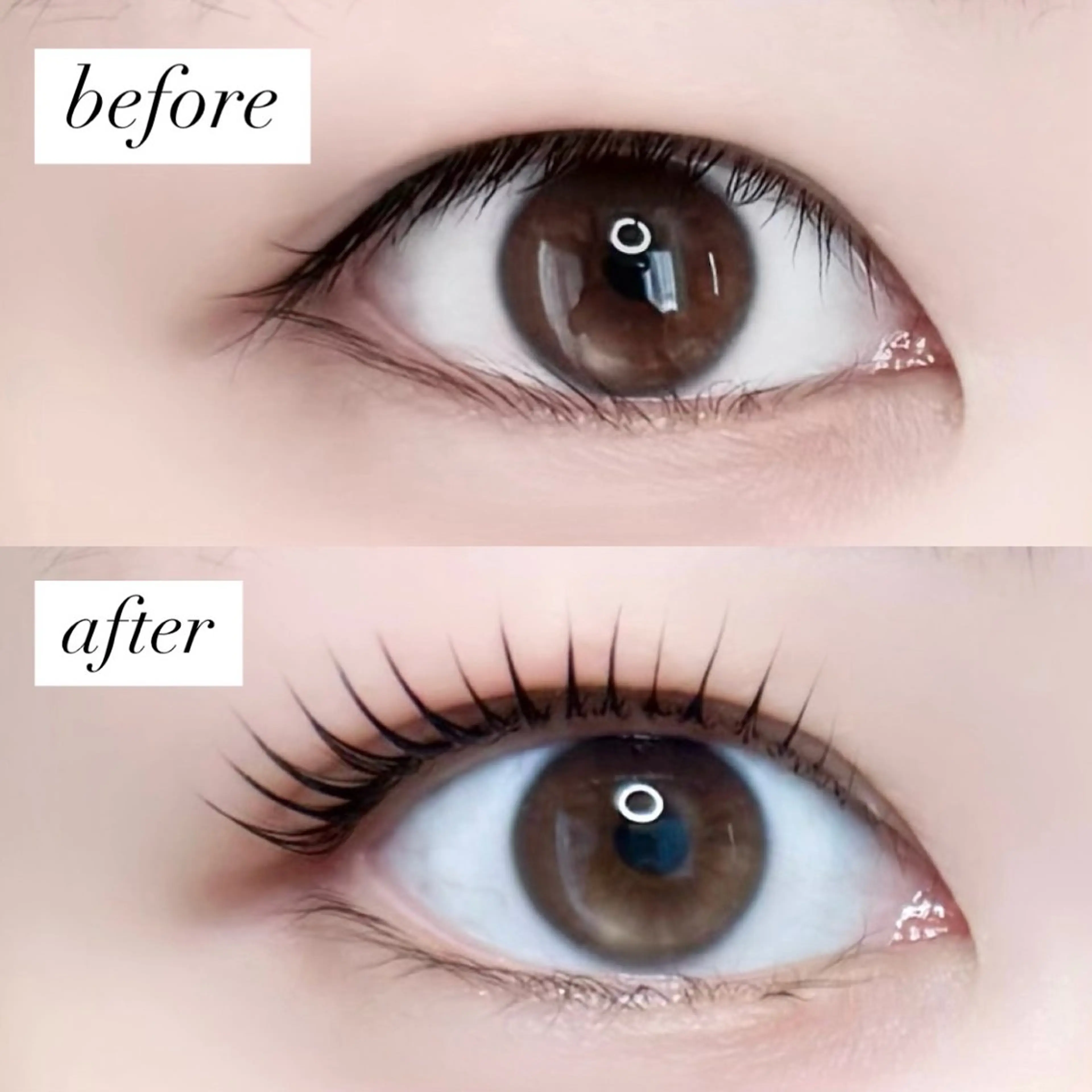 マツエク・マツパ iels三軒茶屋/ ITO RUIのマツエク・マツパデザイン