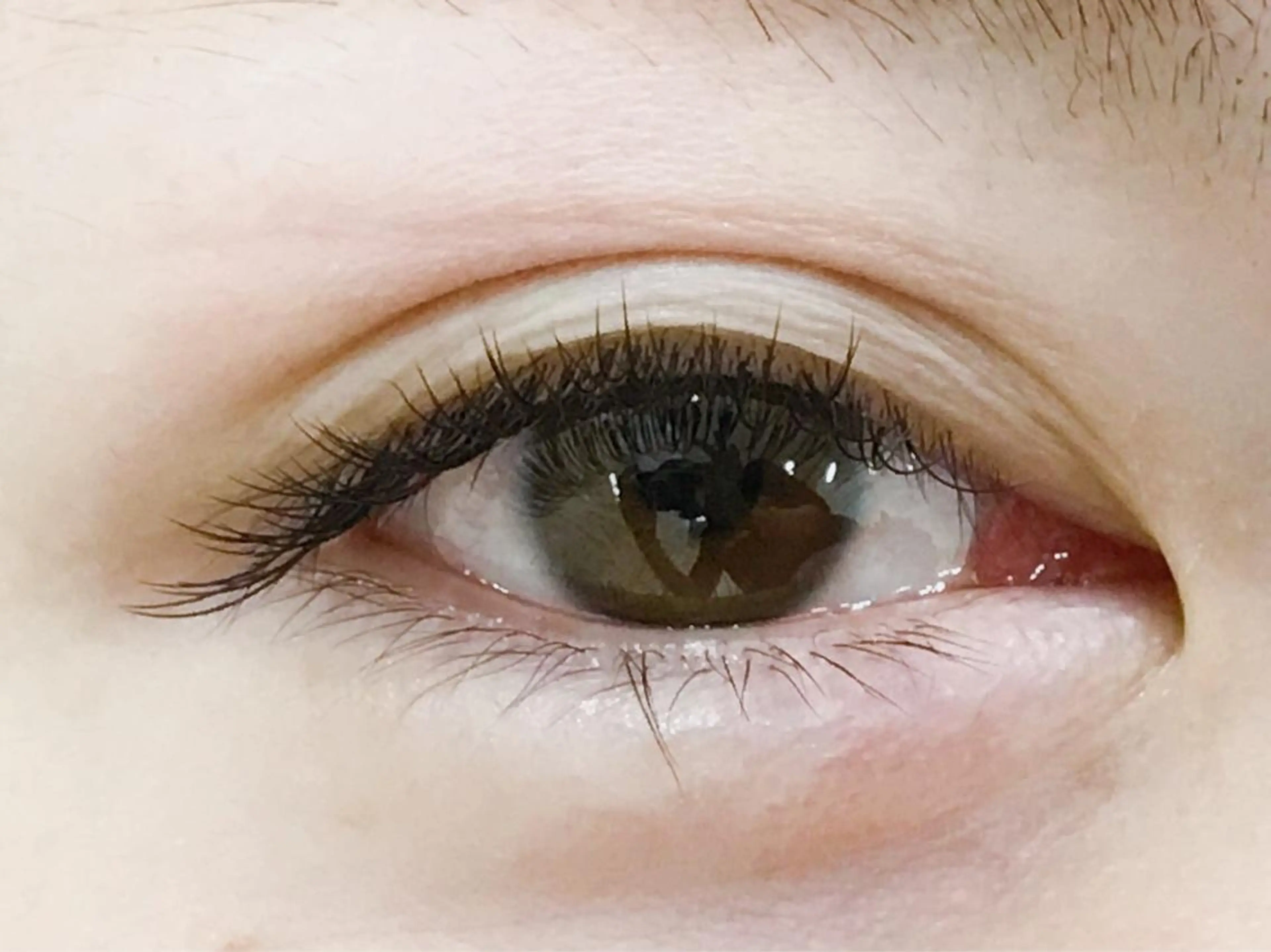 マツエク・マツパ Cカール Jカール ナチュラル セーブル eyelash salon Nature所属・eyelash sa lon Natureのマツエク・マツパデザイン