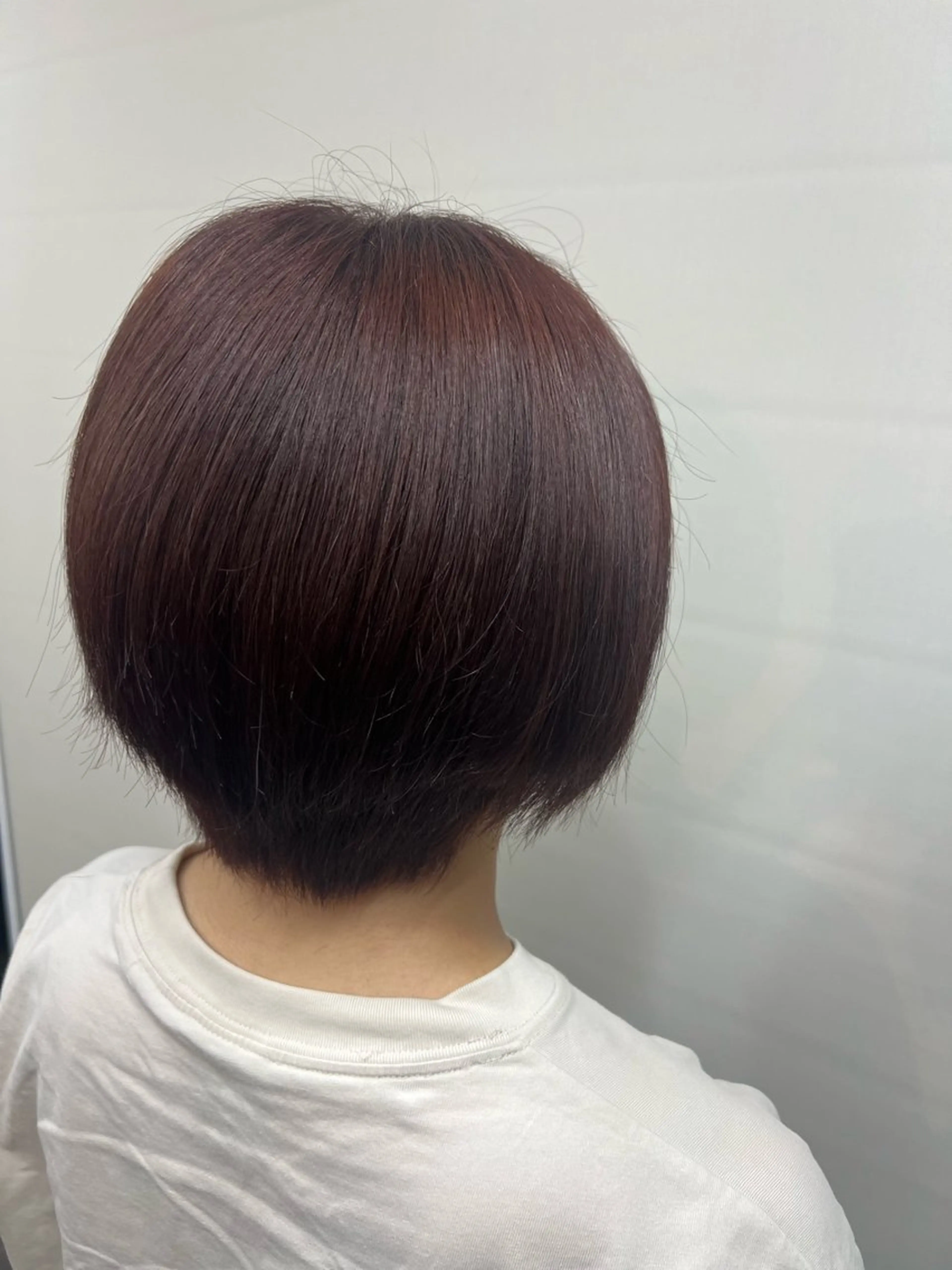 ショート カラー ブラウンカラー レッドカラー レッドブラウン ヘアカラー 本間 絵理奈‎のヘアスタイル