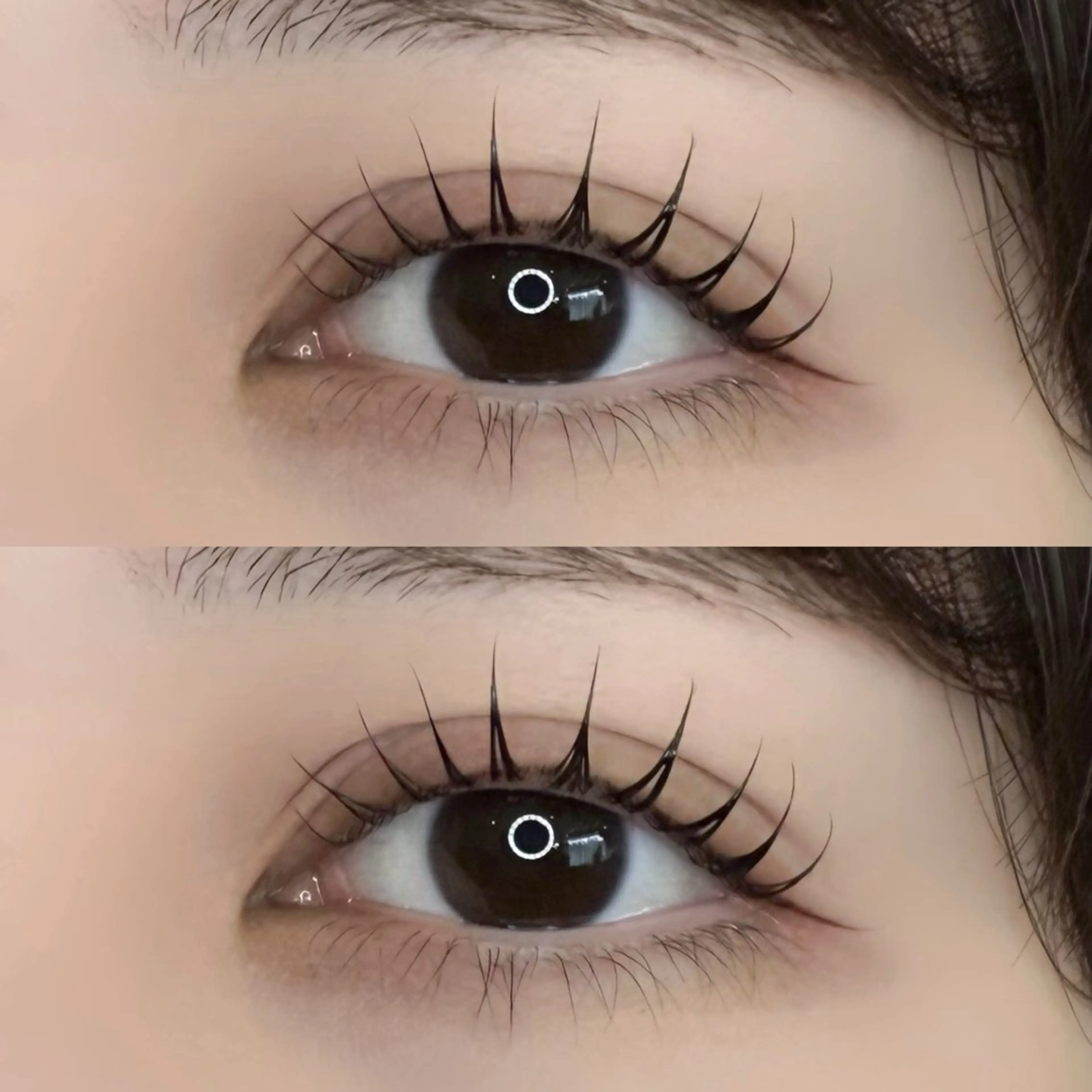 🎀パリジェンヌorデザインラッシュリフト🎀【アイシャンプー➕束感コーティング仕上げ➕トリートメント付き】の写真