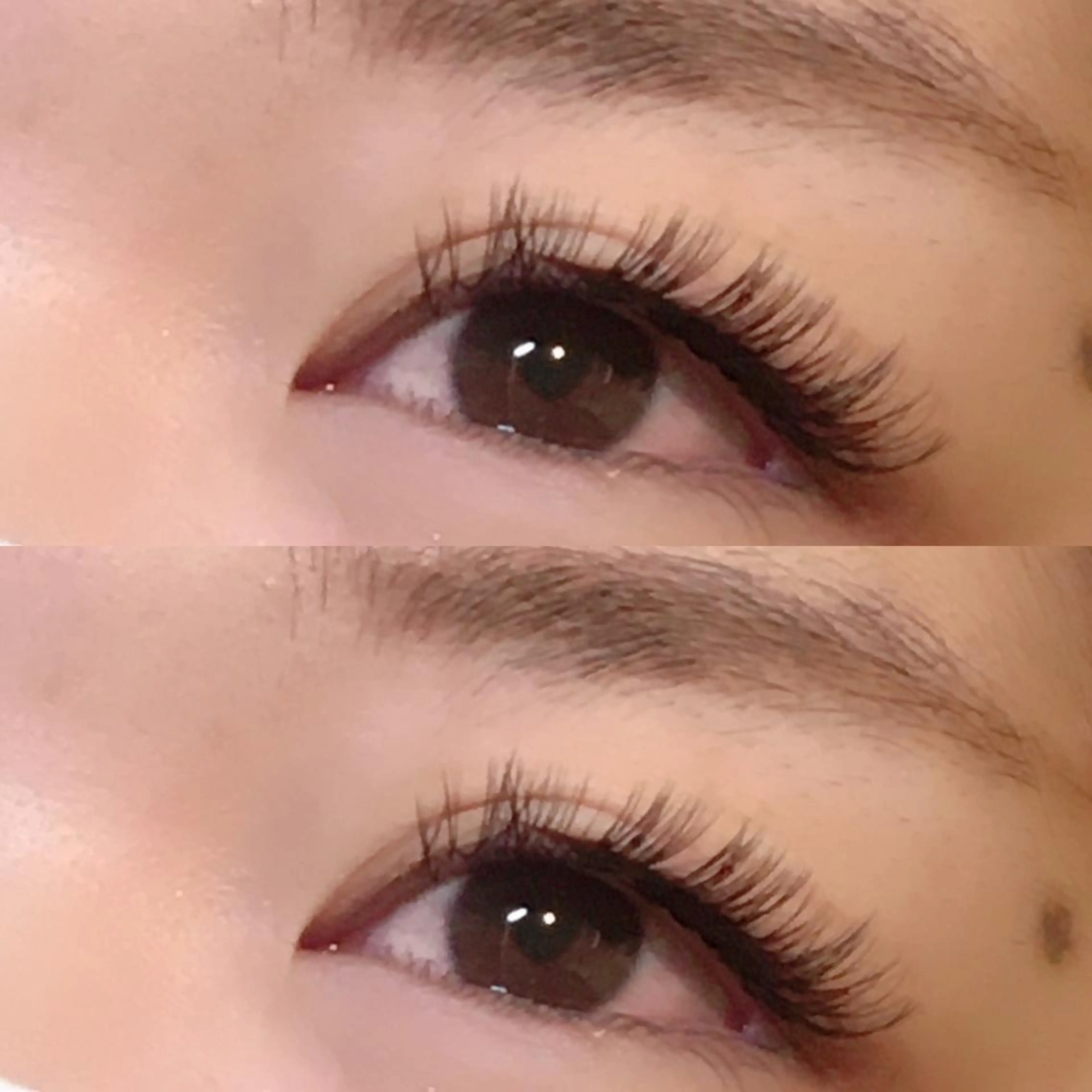 マツエク・マツパ バインドロック まつげと眉毛のお店Sakura Lash【サクララッシュ】所属・【ダメージケア特化】 🌸 サクララッシュの眉毛・アイブロウイメージ