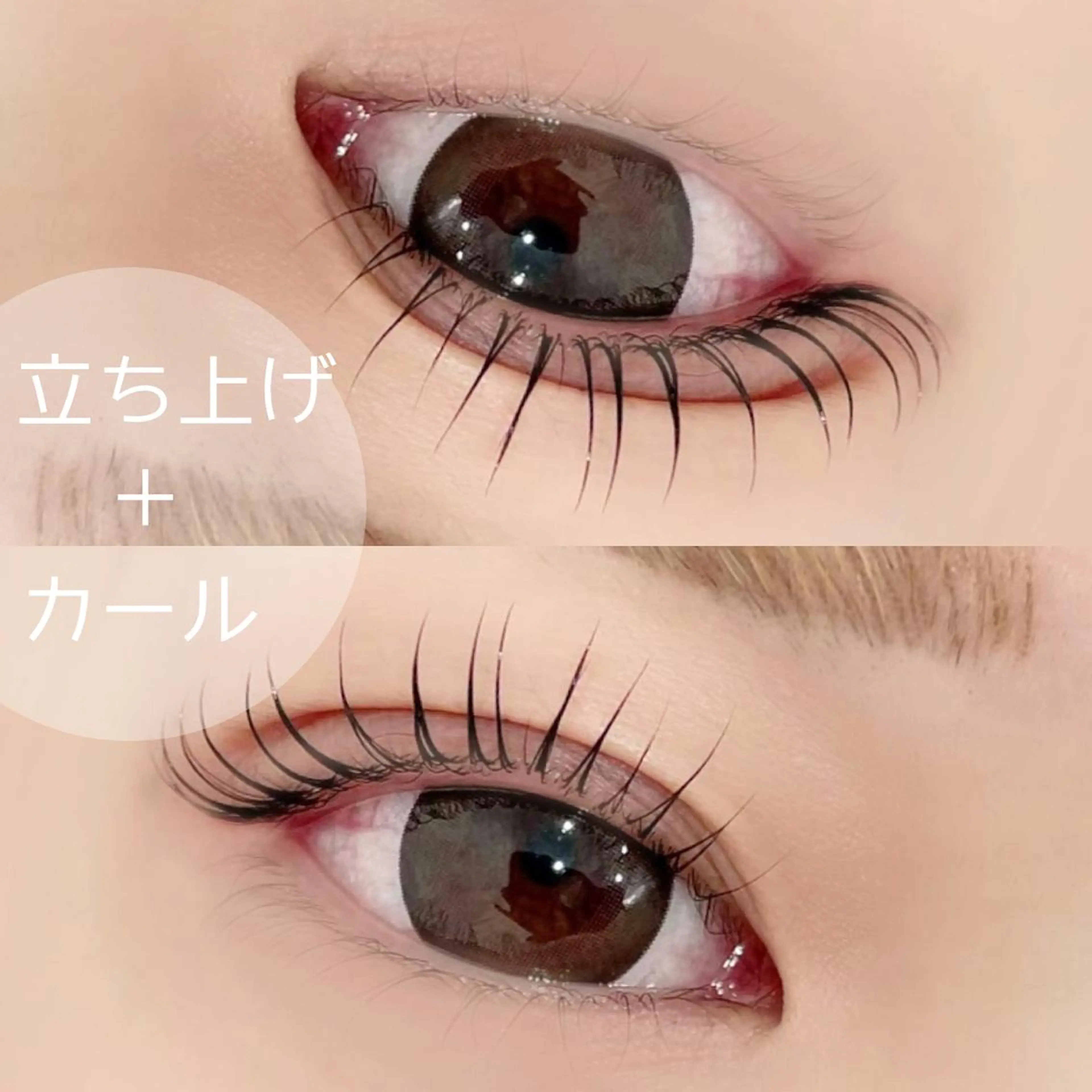 マツエク・マツパ マツパ y. shioriのマツエク・マツパデザイン