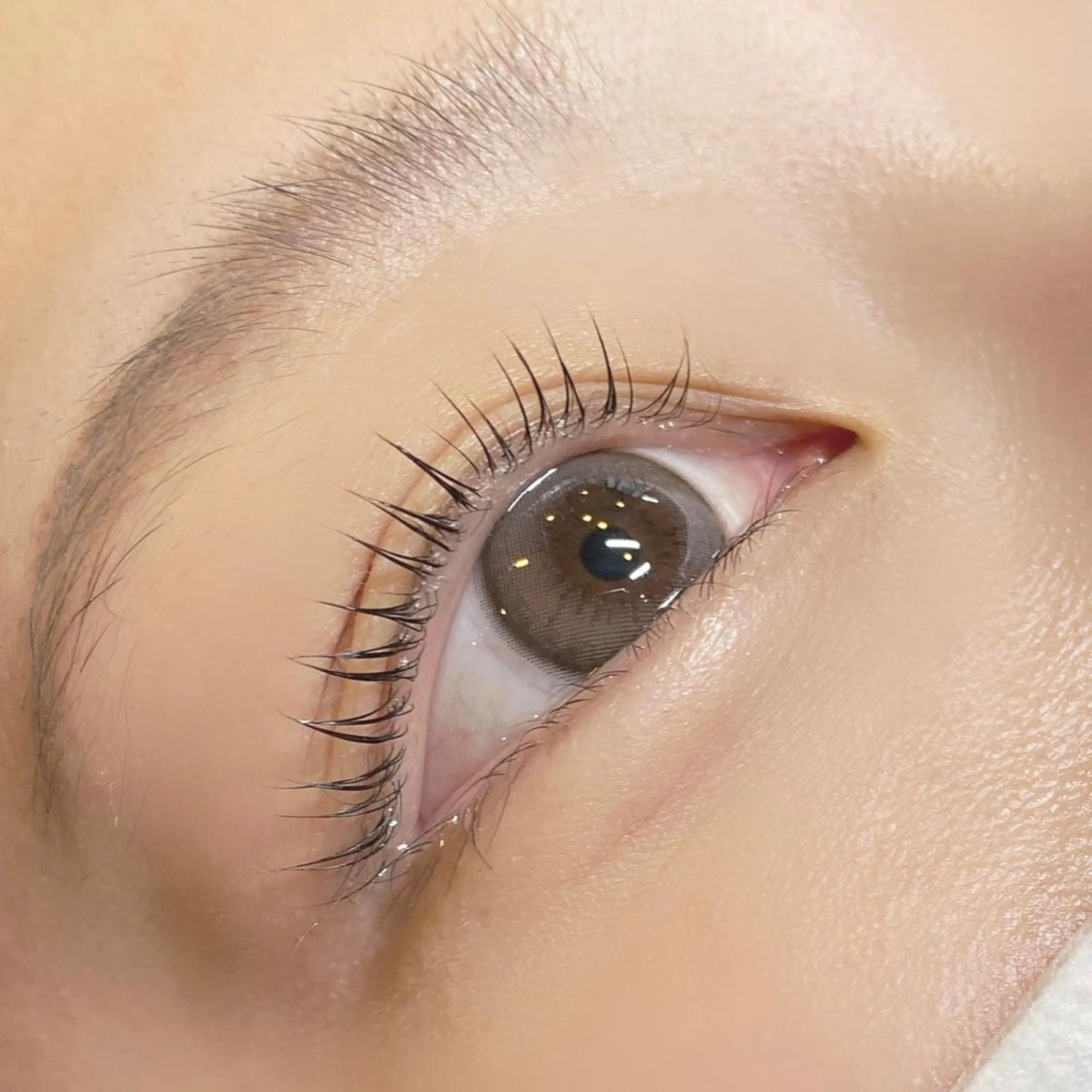 マツエク・マツパ Lカール 一重×まつ毛パーマ 🪽yoshino miku 🩵のマツエク・マツパデザイン