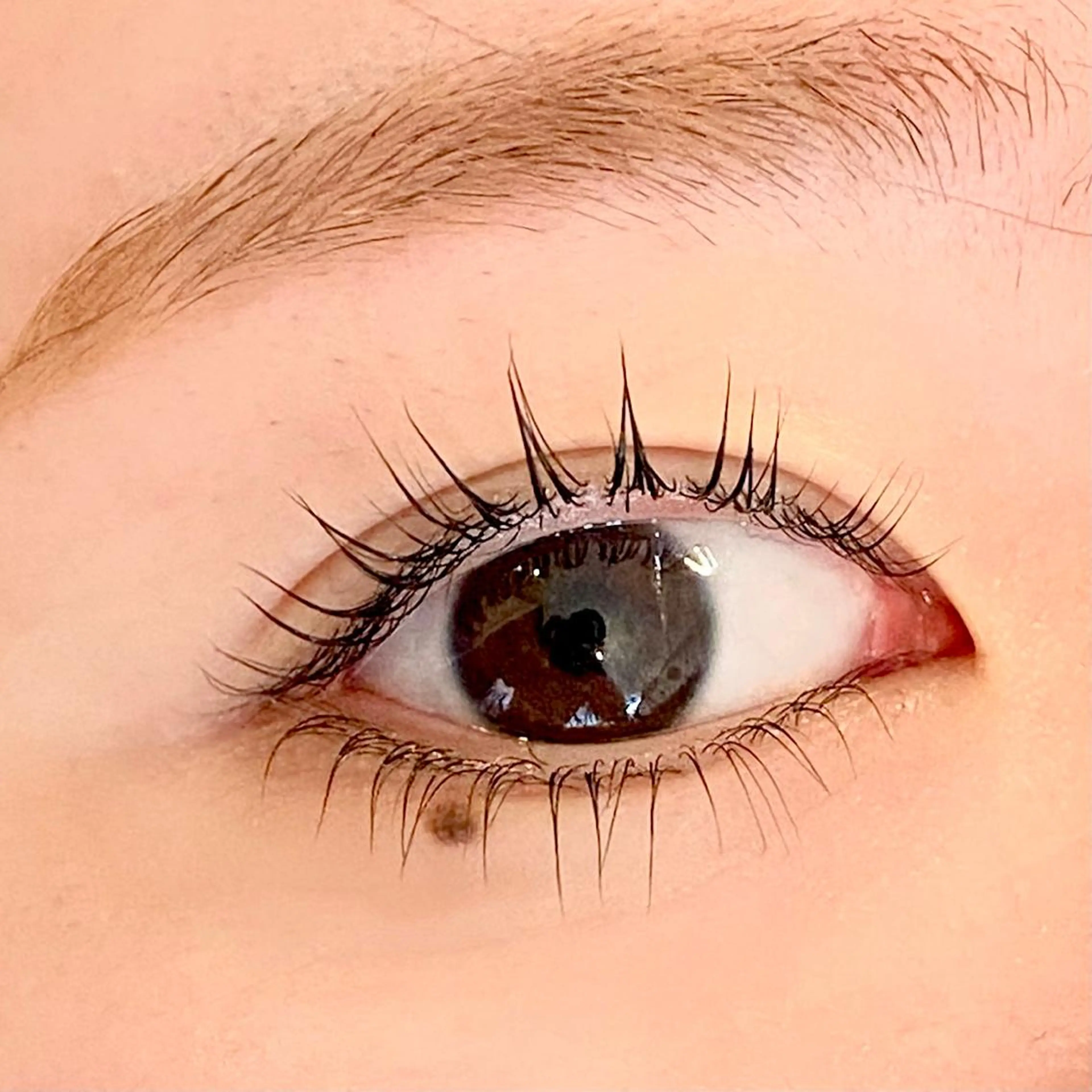 【メイク時短/目幅up】上下ケアラッシュリフト+Trコート 　¥9000→の写真