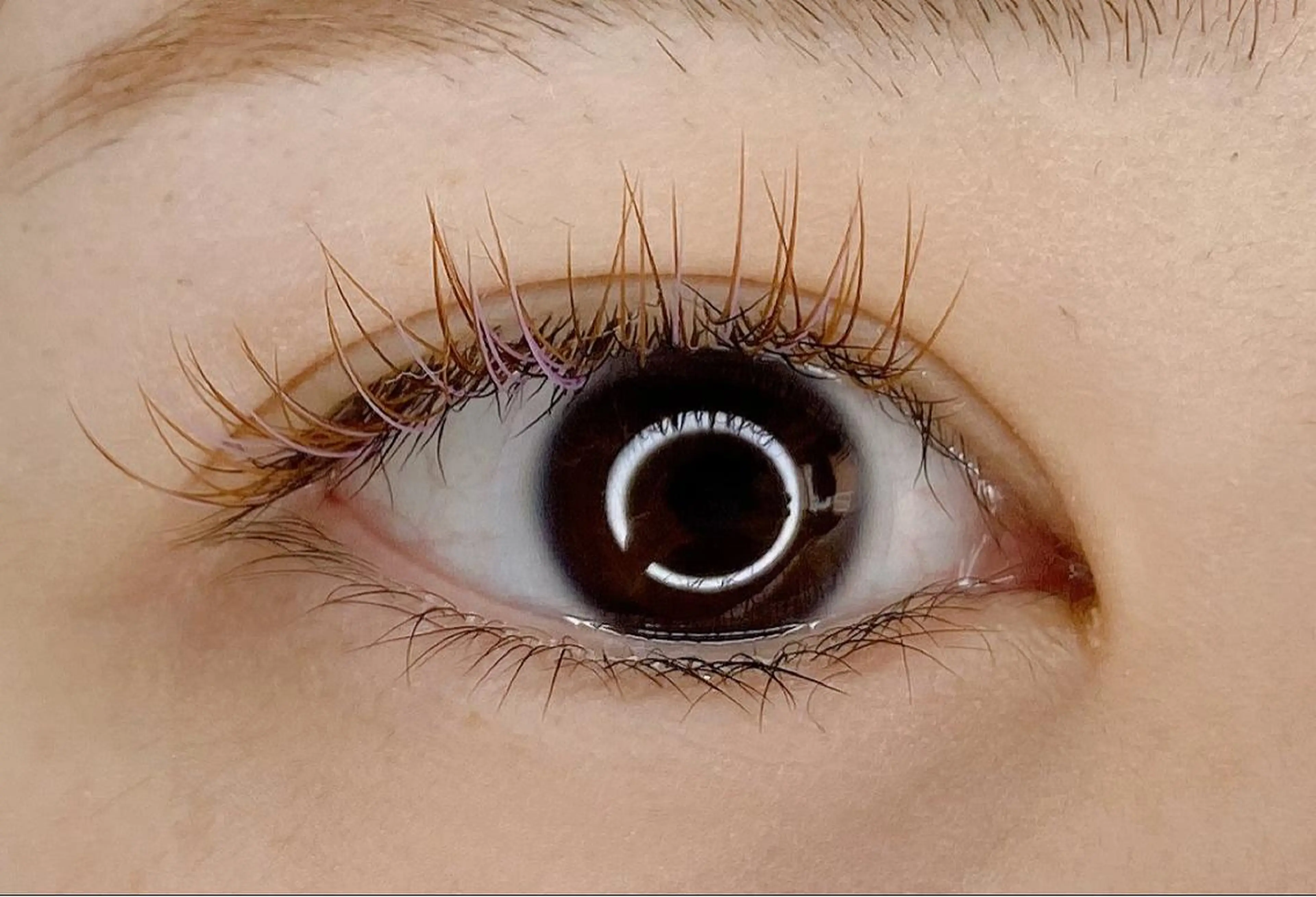 マツエク・マツパ Ai Quick 北千住🌿saitoの眉毛・アイブロウイメージ