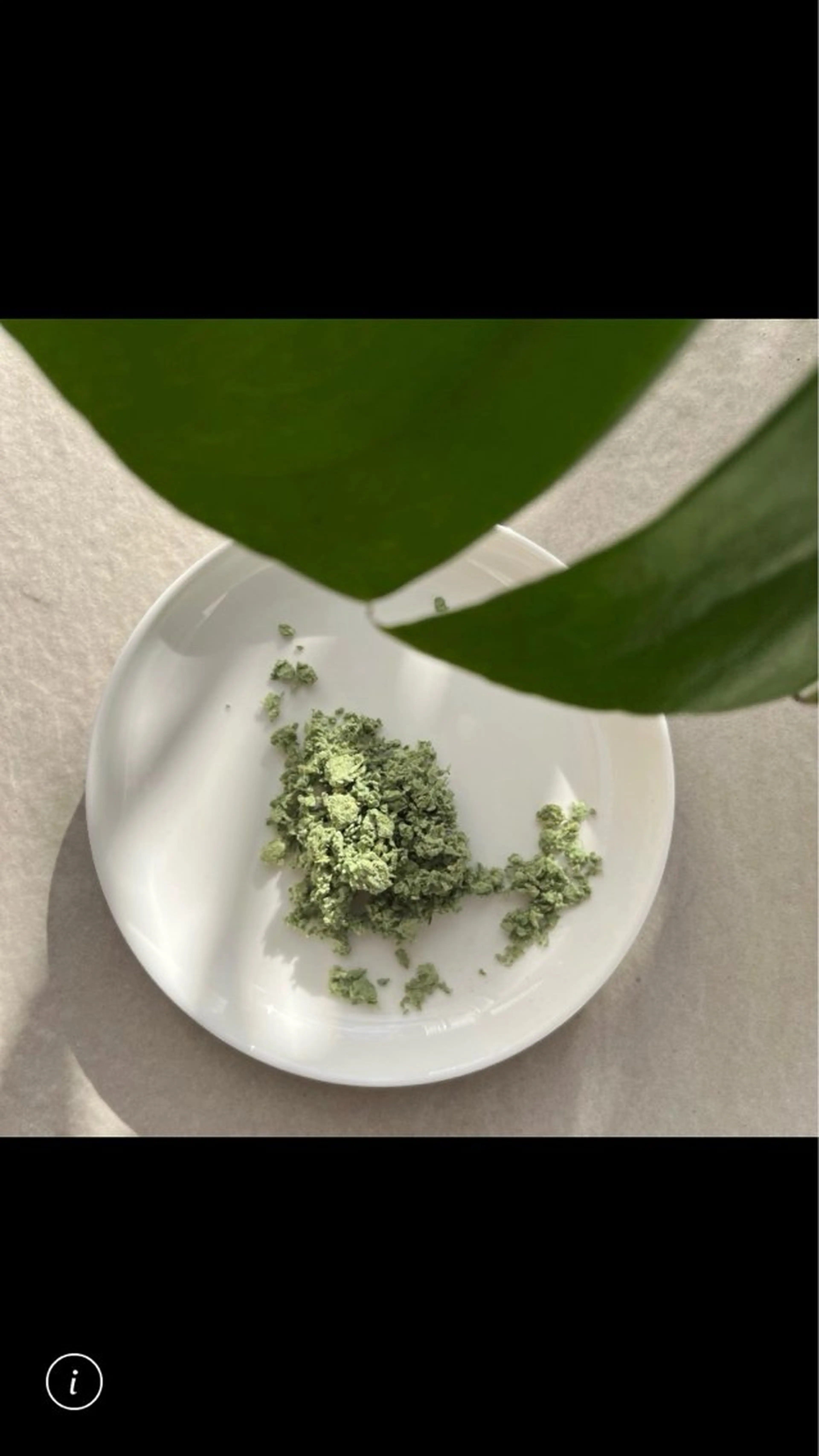 美容鍼灸サロンヴィクトワール所属・池袋美容鍼サロン ヴィクトワール　小林のエステ・リラクイメージ