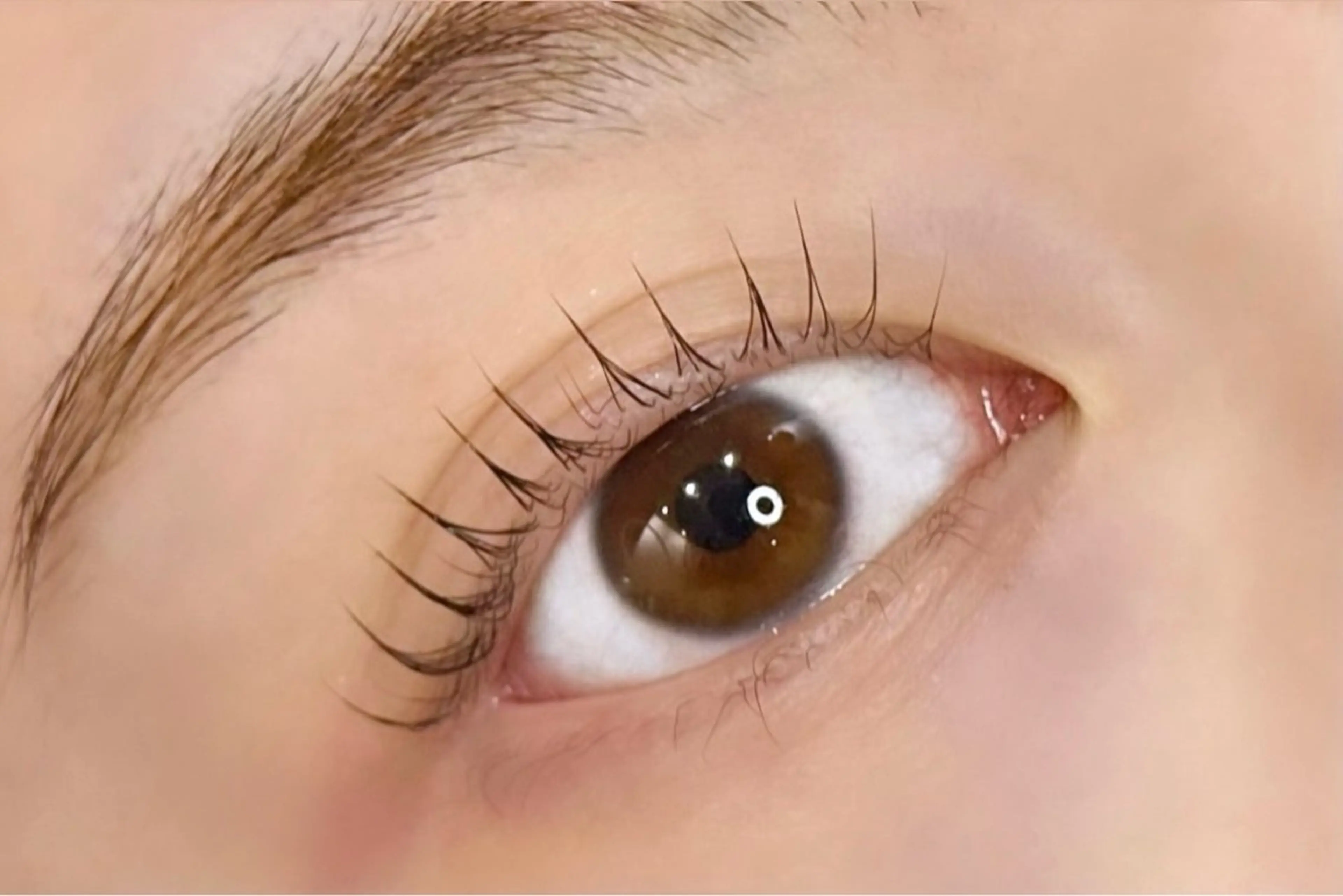 マツエク・マツパ パリジェンヌラッシュリフト REI 🫧ROYALのマツエク・マツパデザイン