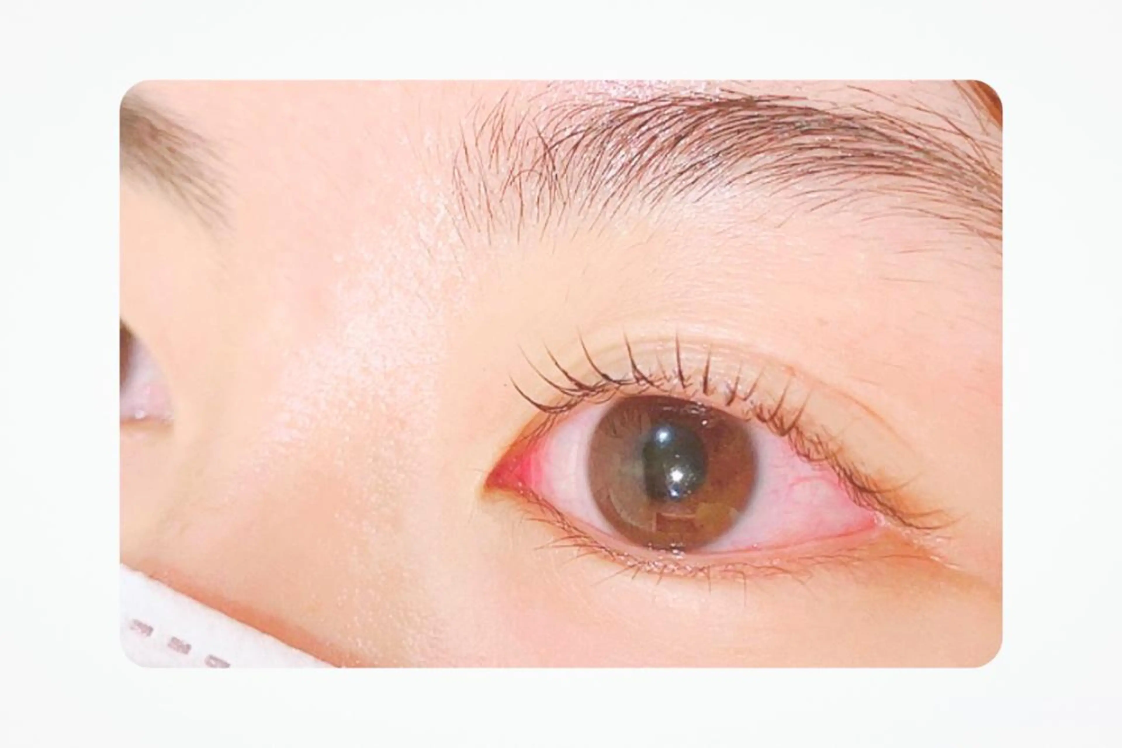 マツエク・マツパ Gluttony/ ｸﾞﾗﾄﾆｰ＊ユキのマツエク・マツパデザイン