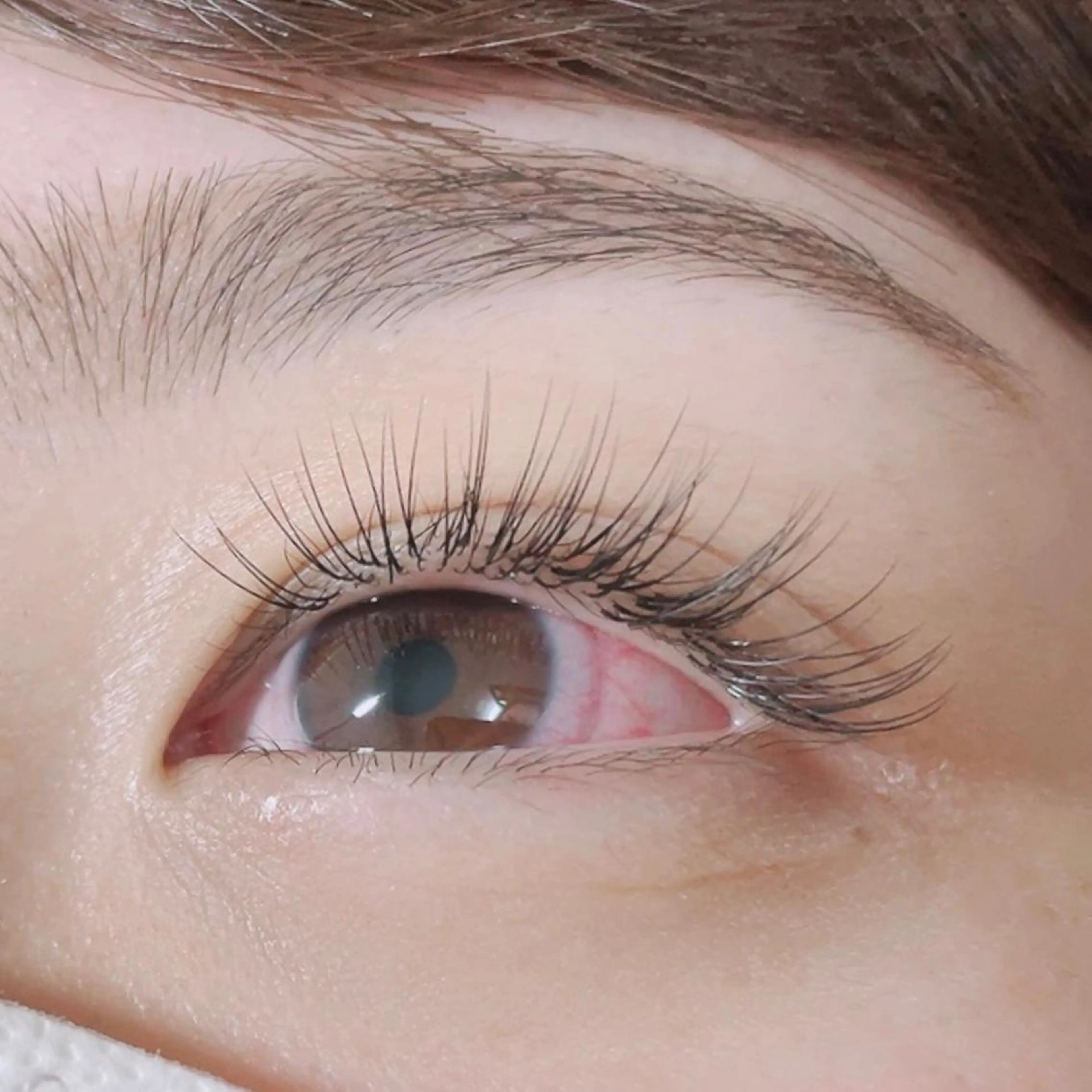 マツエク・マツパ Cカール ナチュラル アイラッシュサロンfleur🍀所属・🍀fleur🍀 束感/ワンホン/杉浦のマツエク・マツパデザイン