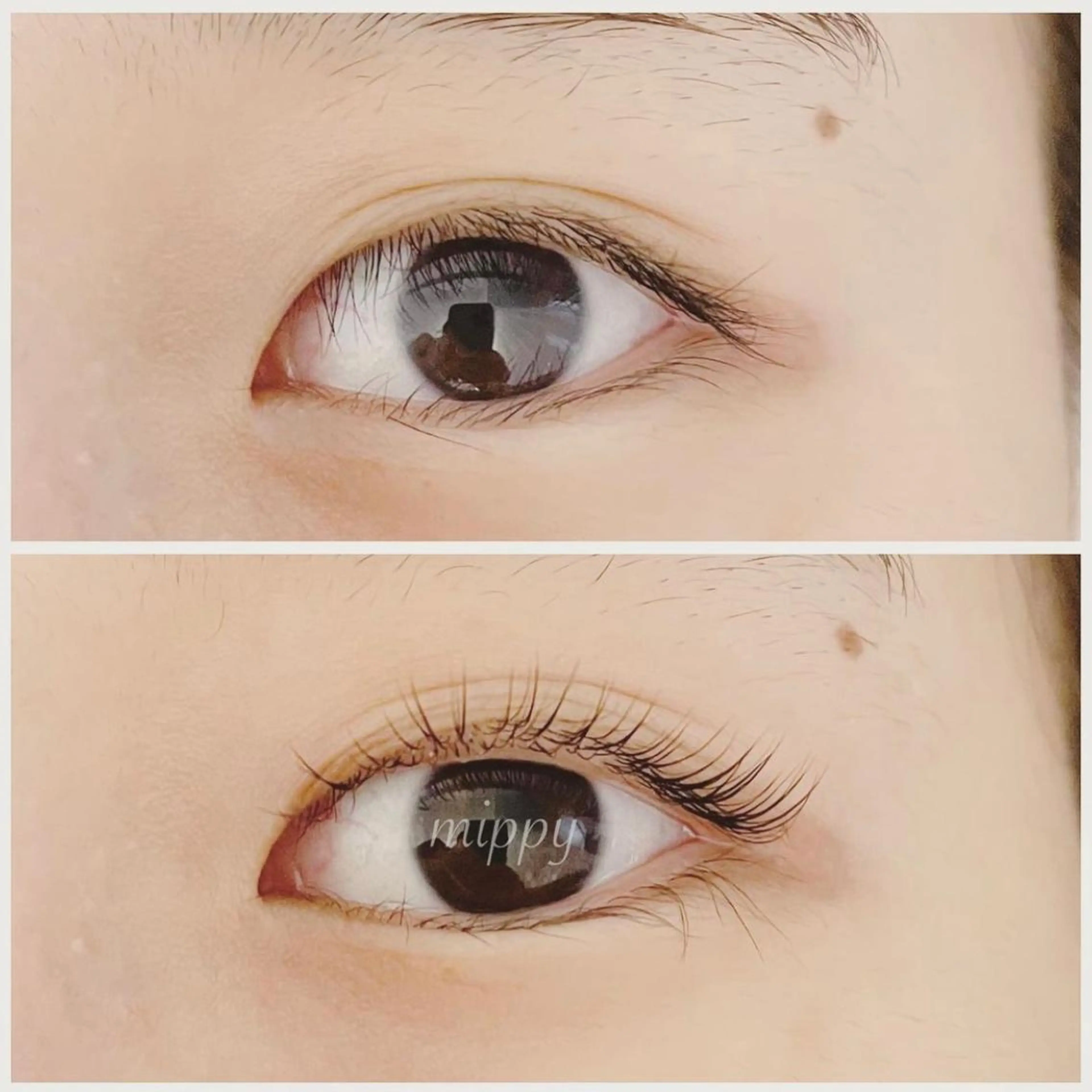 マツエク・マツパ パリジェンヌラッシュリフト ｍｉｐｐｙ 🪽のマツエク・マツパデザイン