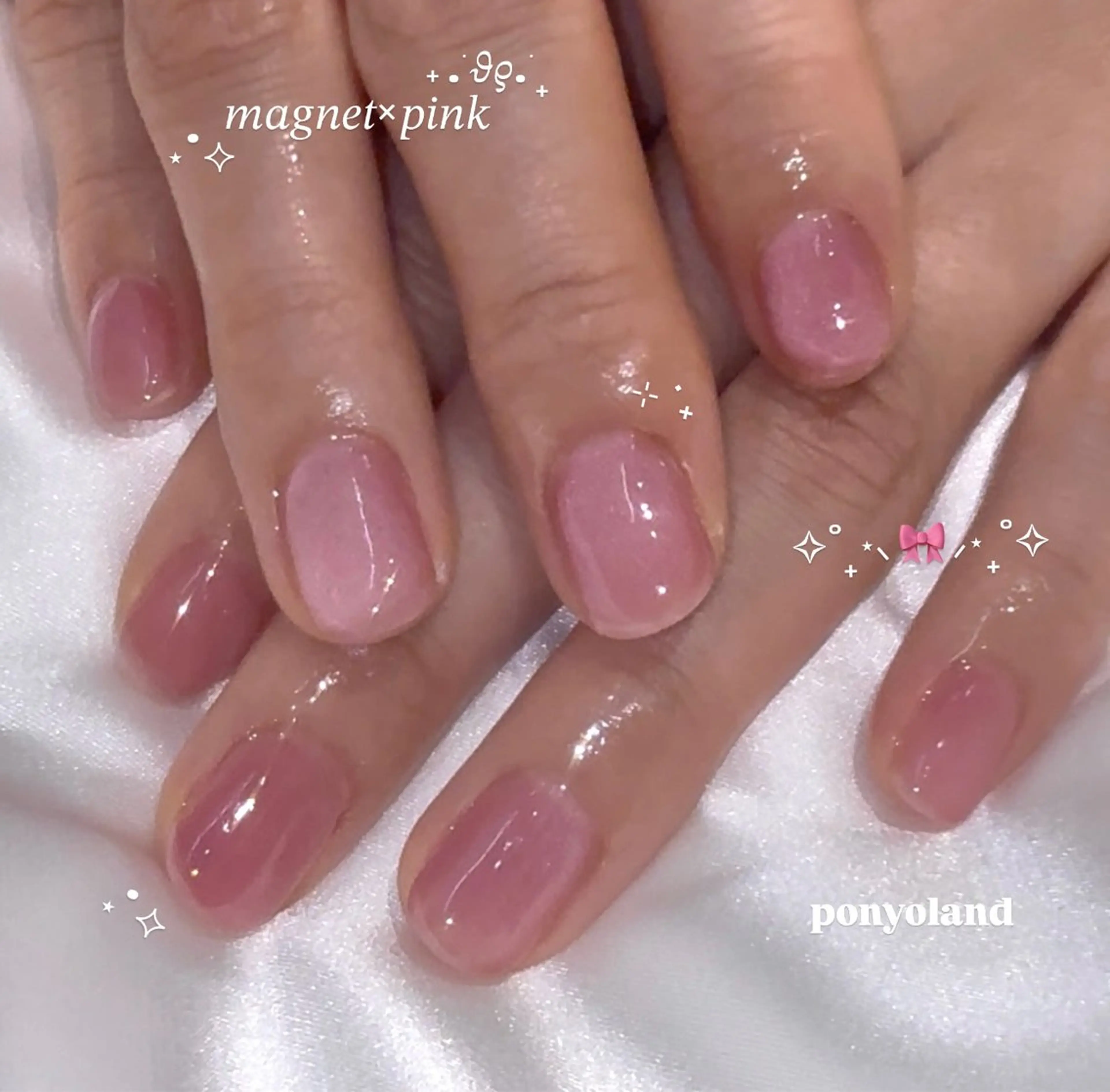 ネイル マグネットネイル ワンカラーネイル ponyoland所属・ponyoland 目黒/恵比寿💎のネイルデザイン