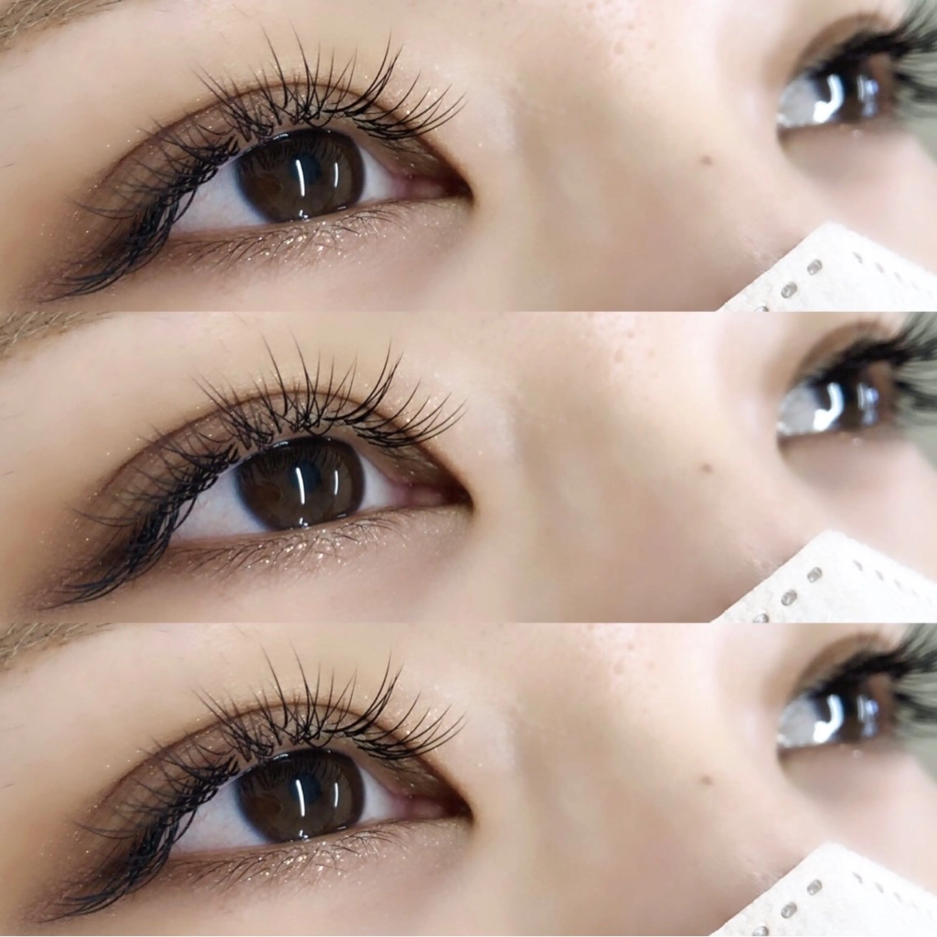 マツエク・マツパ ナチュラル パラゴン ひなたのマツエク・マツパデザイン