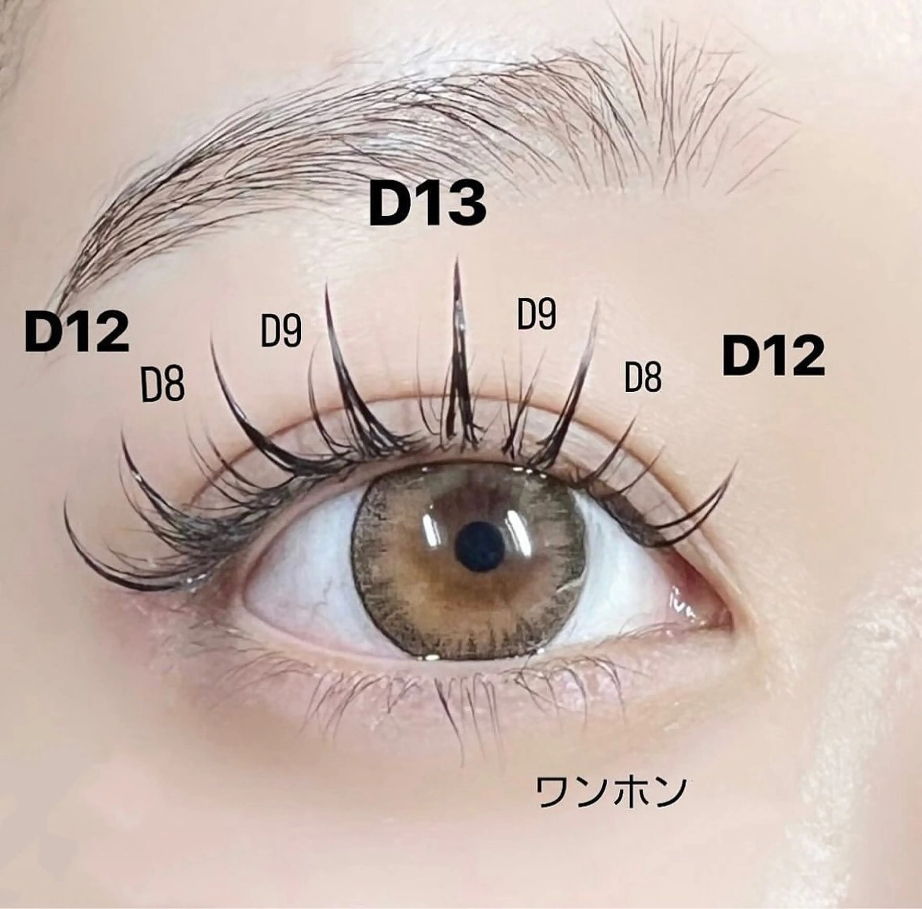 ❤️‍🔥フラットラッシュワンホンデザインマツエク🉐(120本5980) ❤️‍🔥の写真