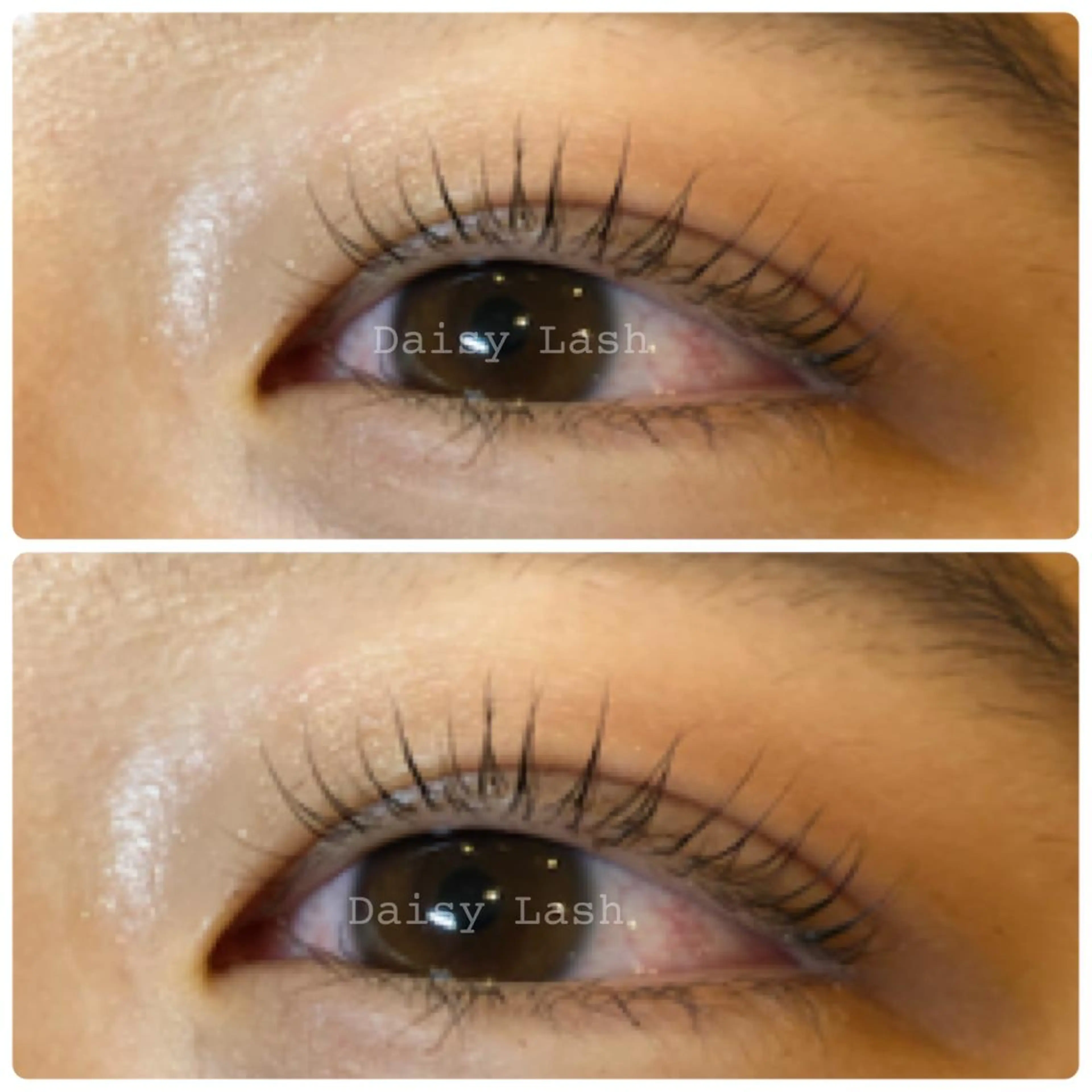 マツエク・マツパ パリジェンヌラッシュリフト Daisy Lash 梅田本店のマツエク・マツパデザイン