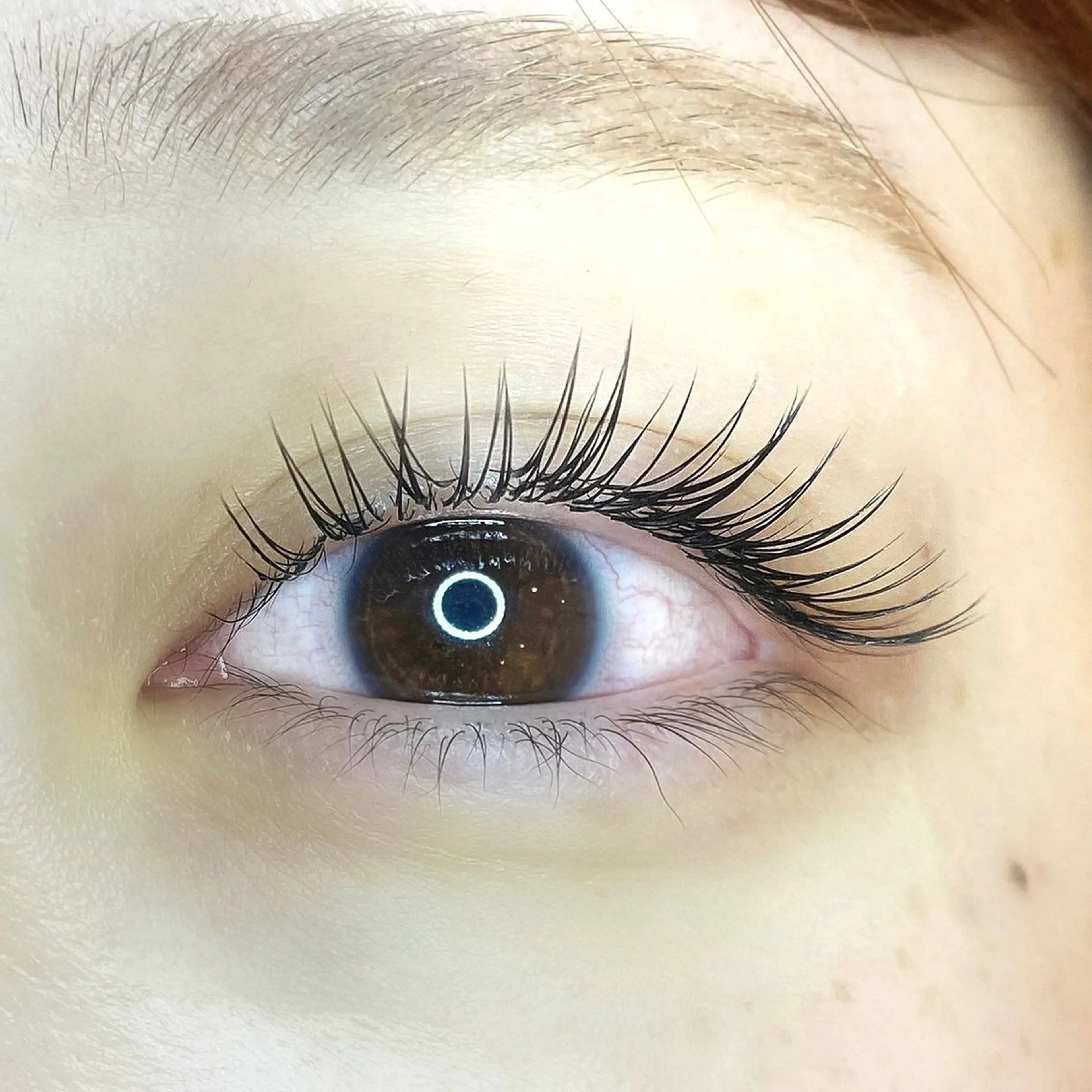 マツエク・マツパ 一重×まつ毛パーマ eyelash＆eyebrow  me calla【ミーカラー】所属・ﾐｰｶﾗｰ Masubuchi️のマツエク・マツパデザイン