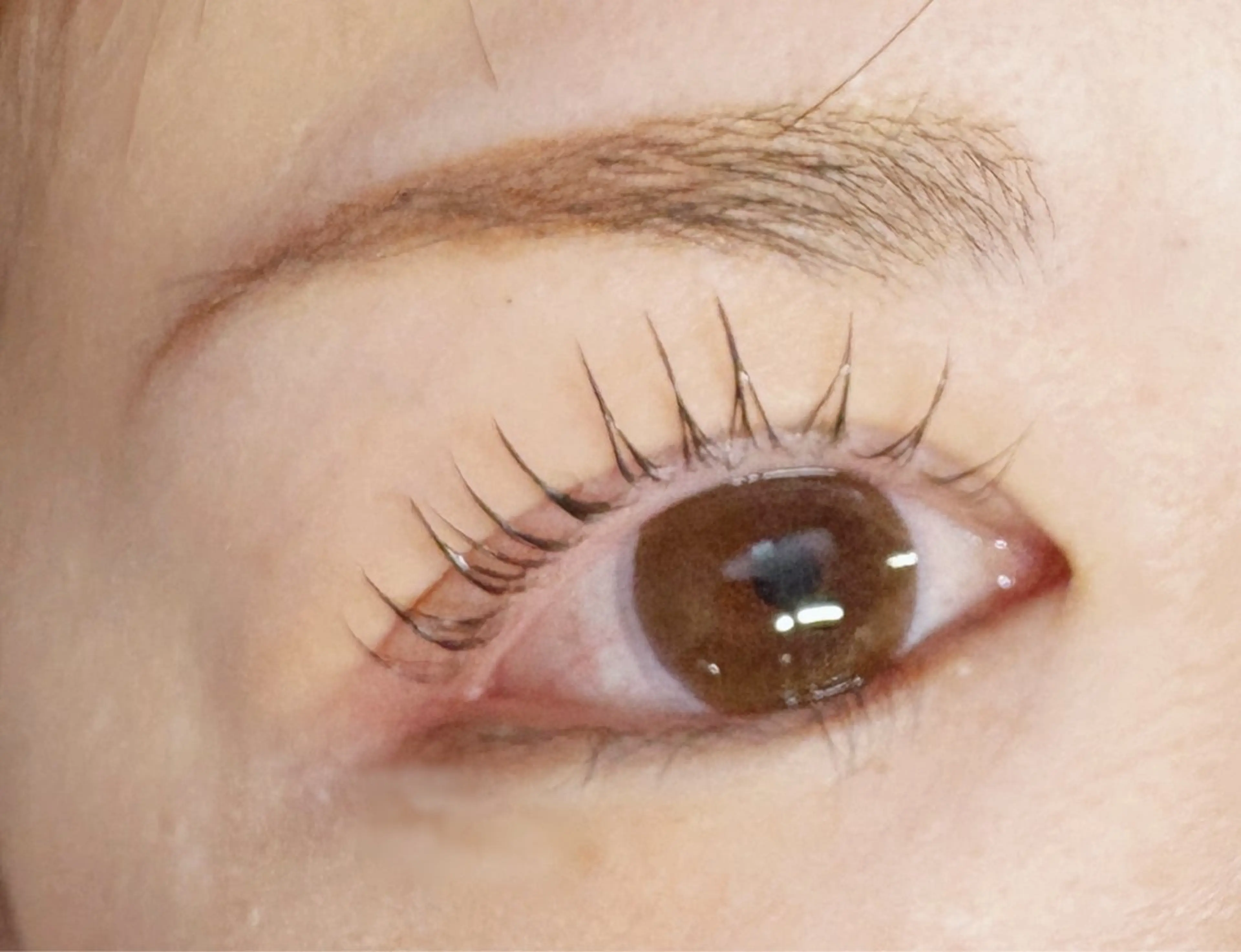 マツエク・マツパ 🐈‍⬛ Yukaのマツエク・マツパデザイン