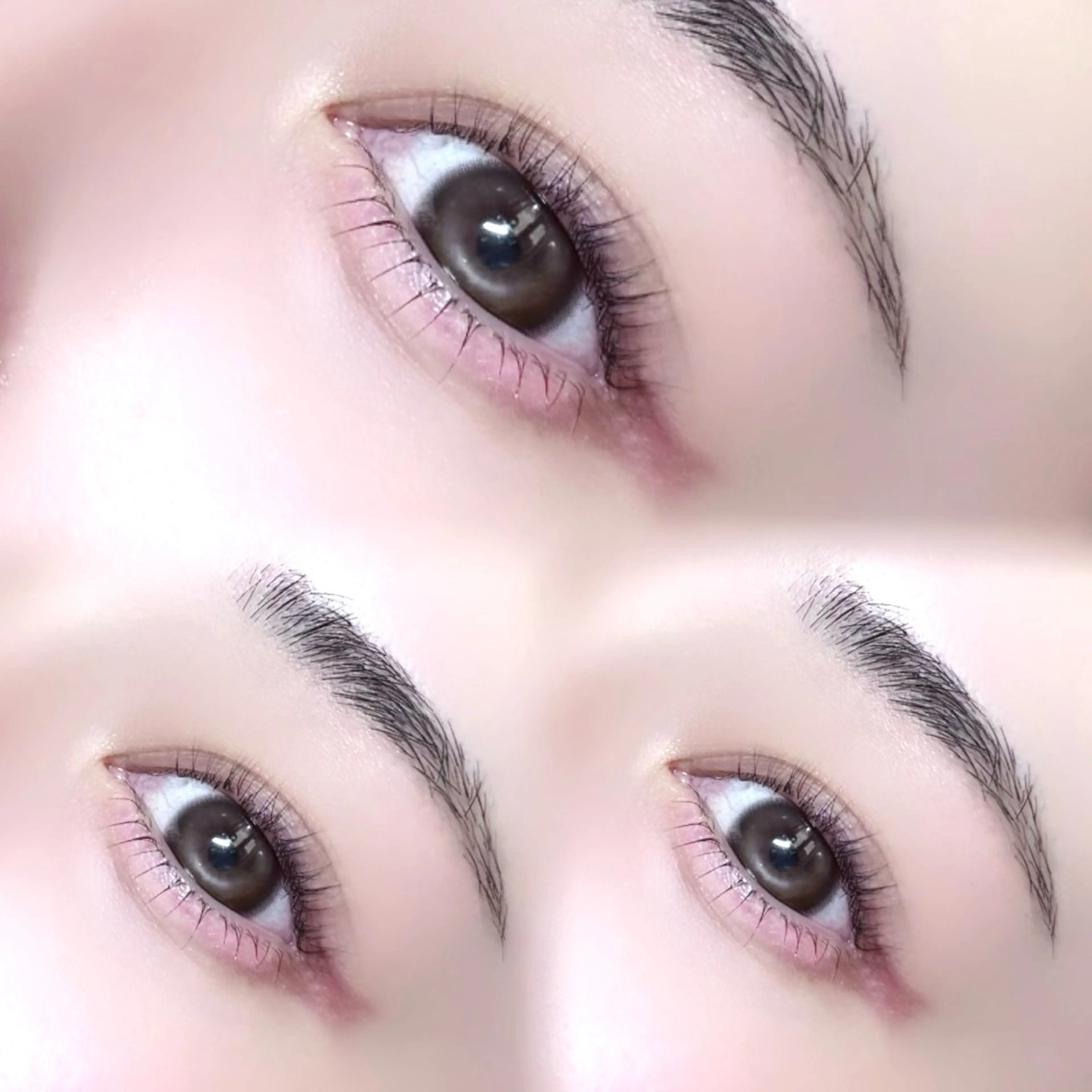 ‎⌇﻿人気𝐦𝐞𝐧𝐮⌇﻿下まつげパーマ💭の写真