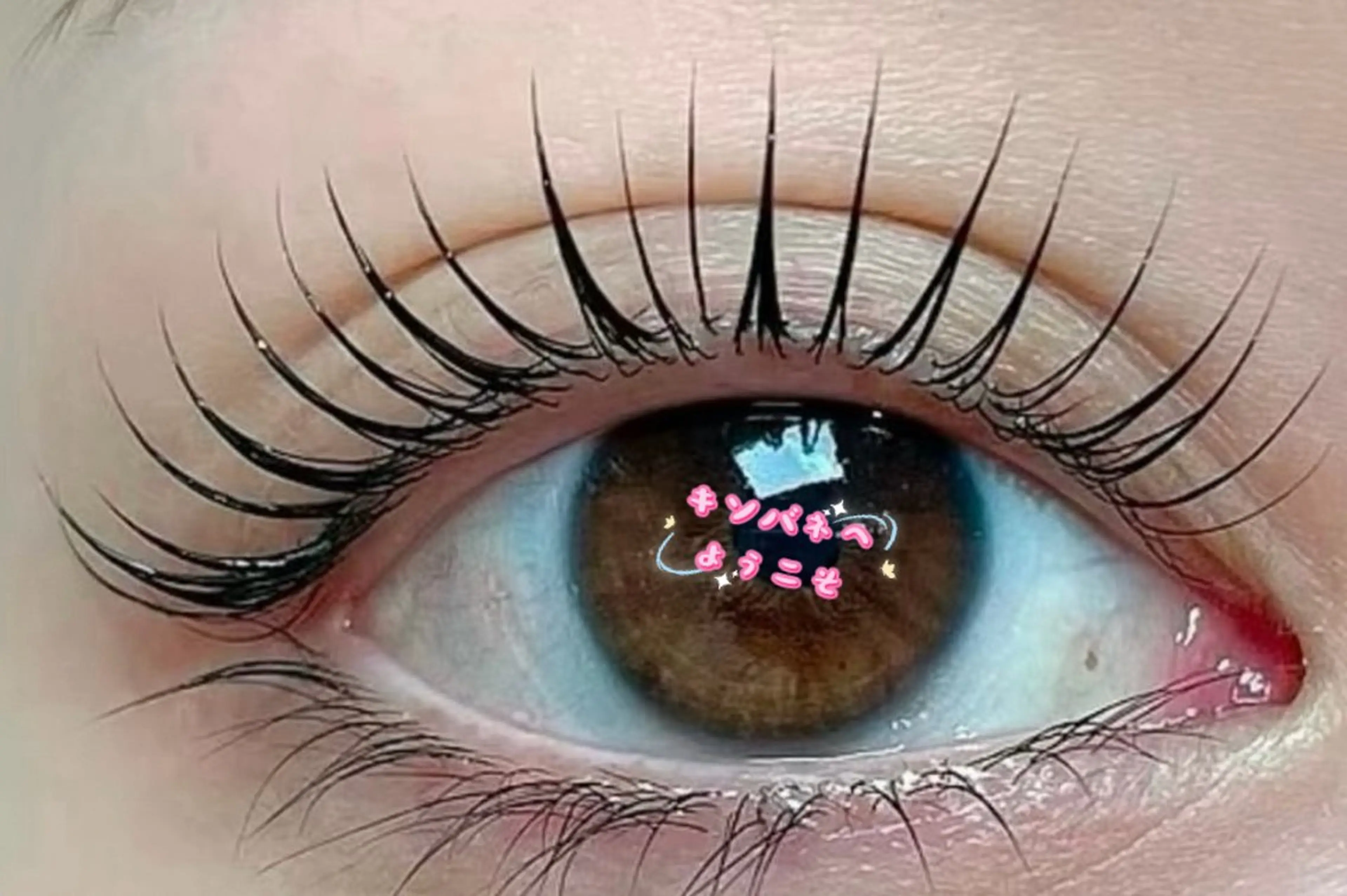 パーマ マツパ キンバネ・サロン 高田馬場店のマツエク・マツパデザイン