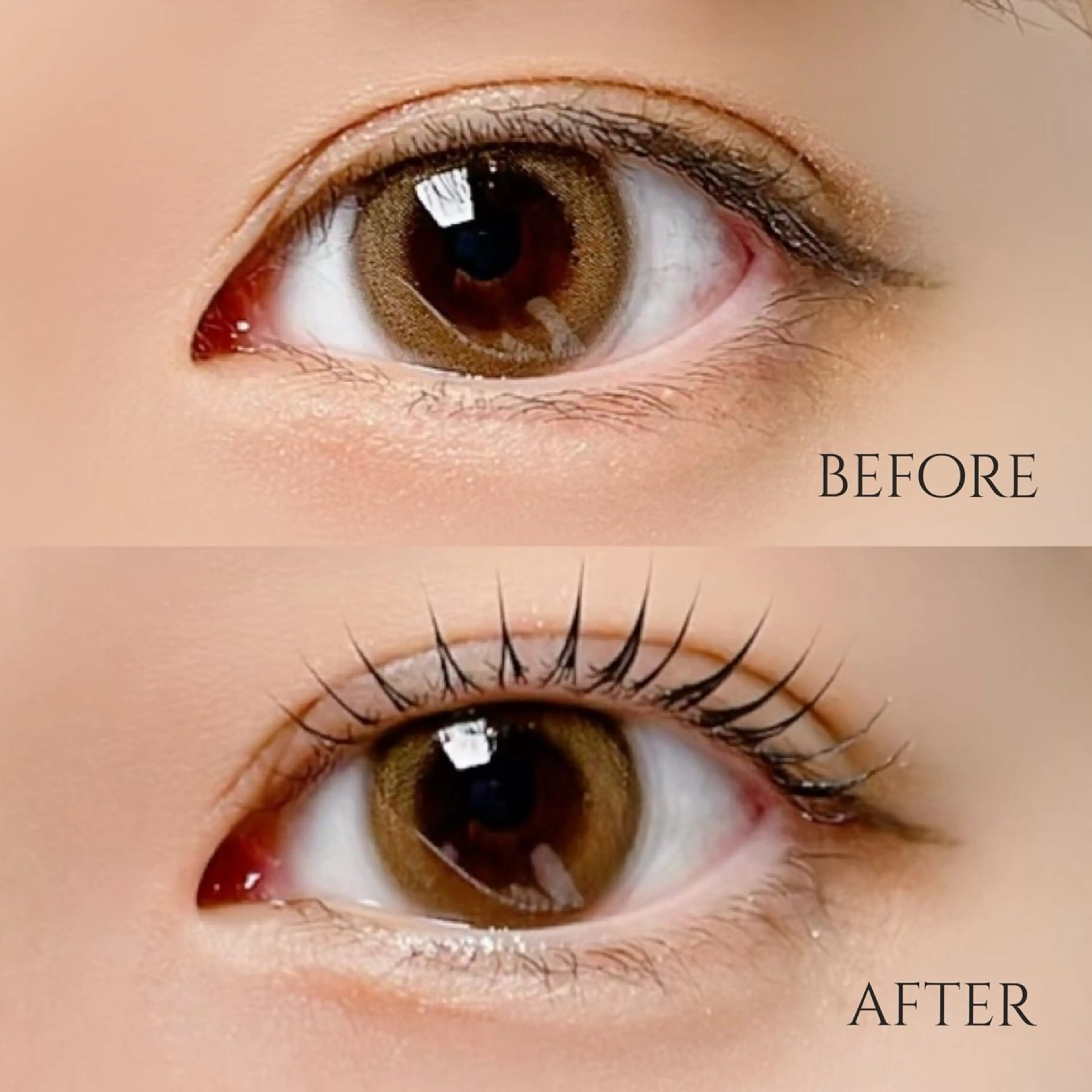 マツエク・マツパ MOMOE 恵比寿 まつげパーマのマツエク・マツパデザイン