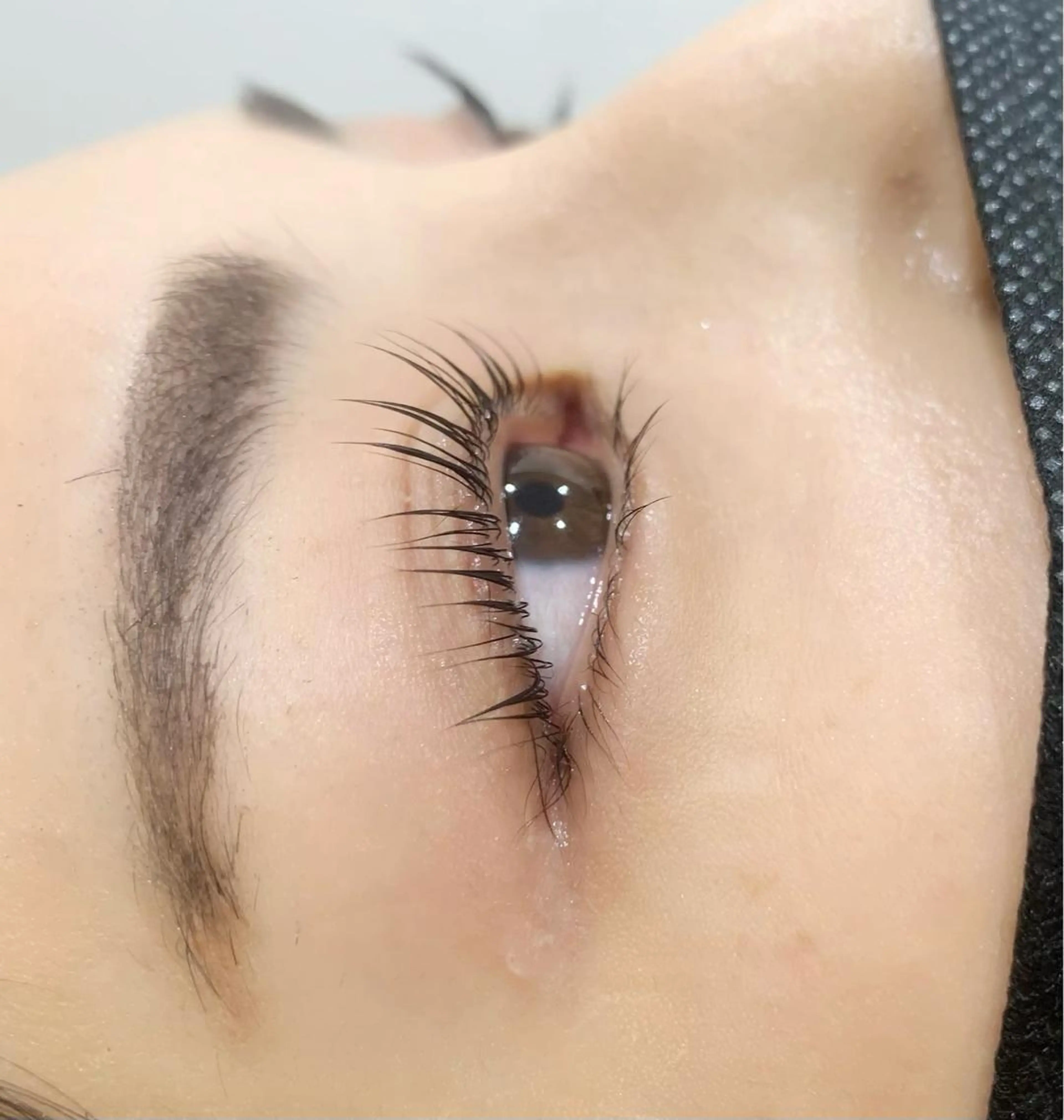 マツエク・マツパ パリジェンヌラッシュリフト Celeste Venus所属・🧸Celeste Venusのマツエク・マツパデザイン